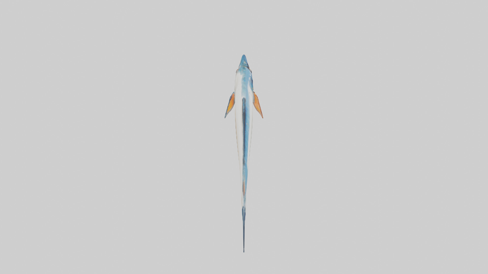 Flying Fish escaping model 3D model_18