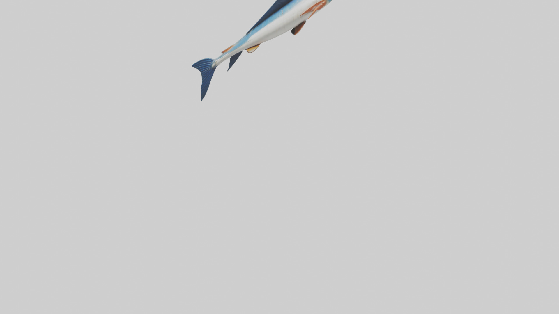 Flying Fish escaping model 3D model_6