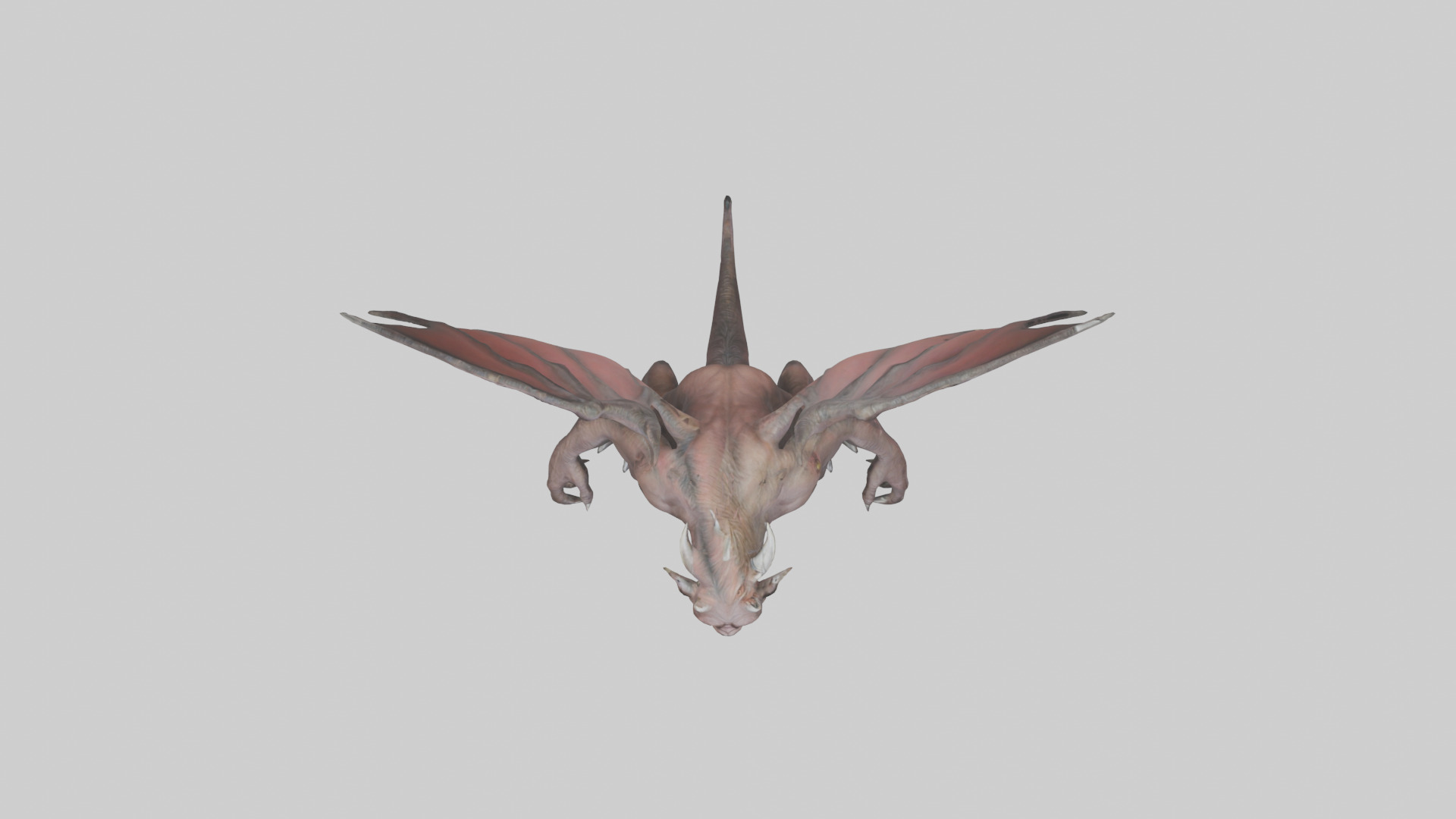 Forbidden Beast model 3D model_14
