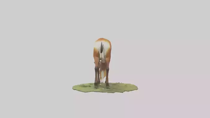 Forest Antelope grazing model 3D model