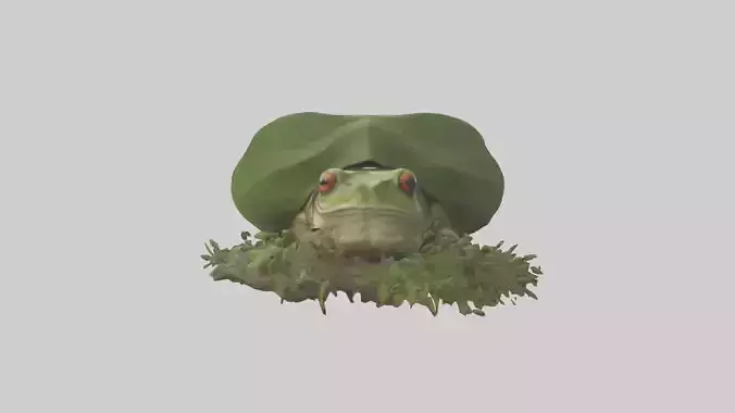 Forest Frog hiding model 3D model