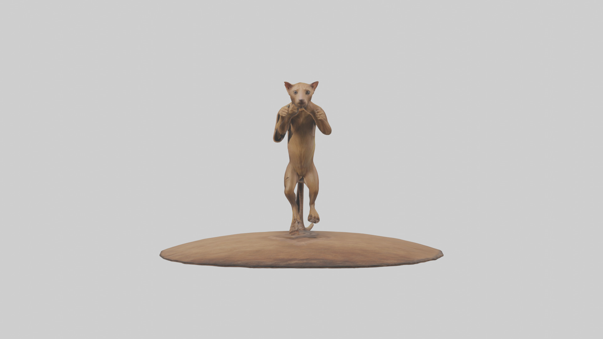 Fossa climbing tree model Low-poly 3D model_9