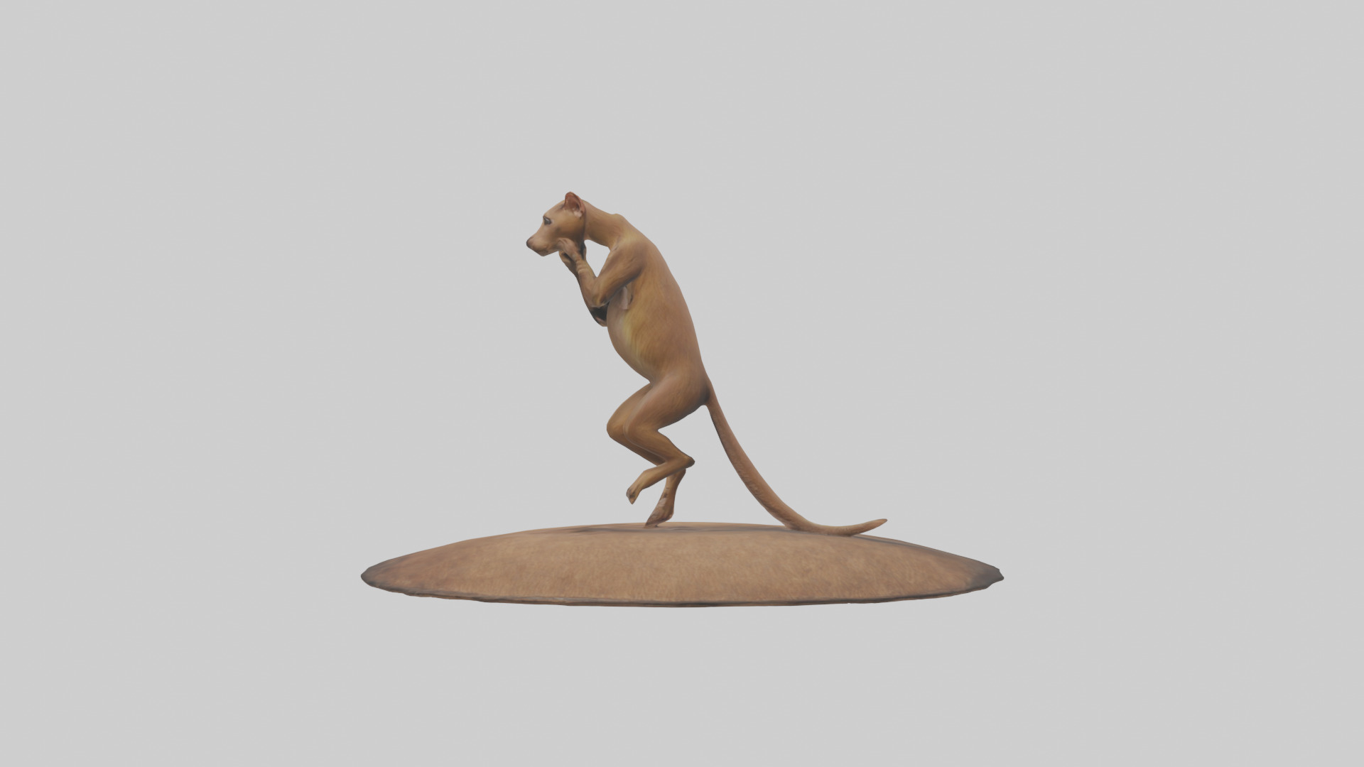 Fossa climbing tree model Low-poly 3D model_12