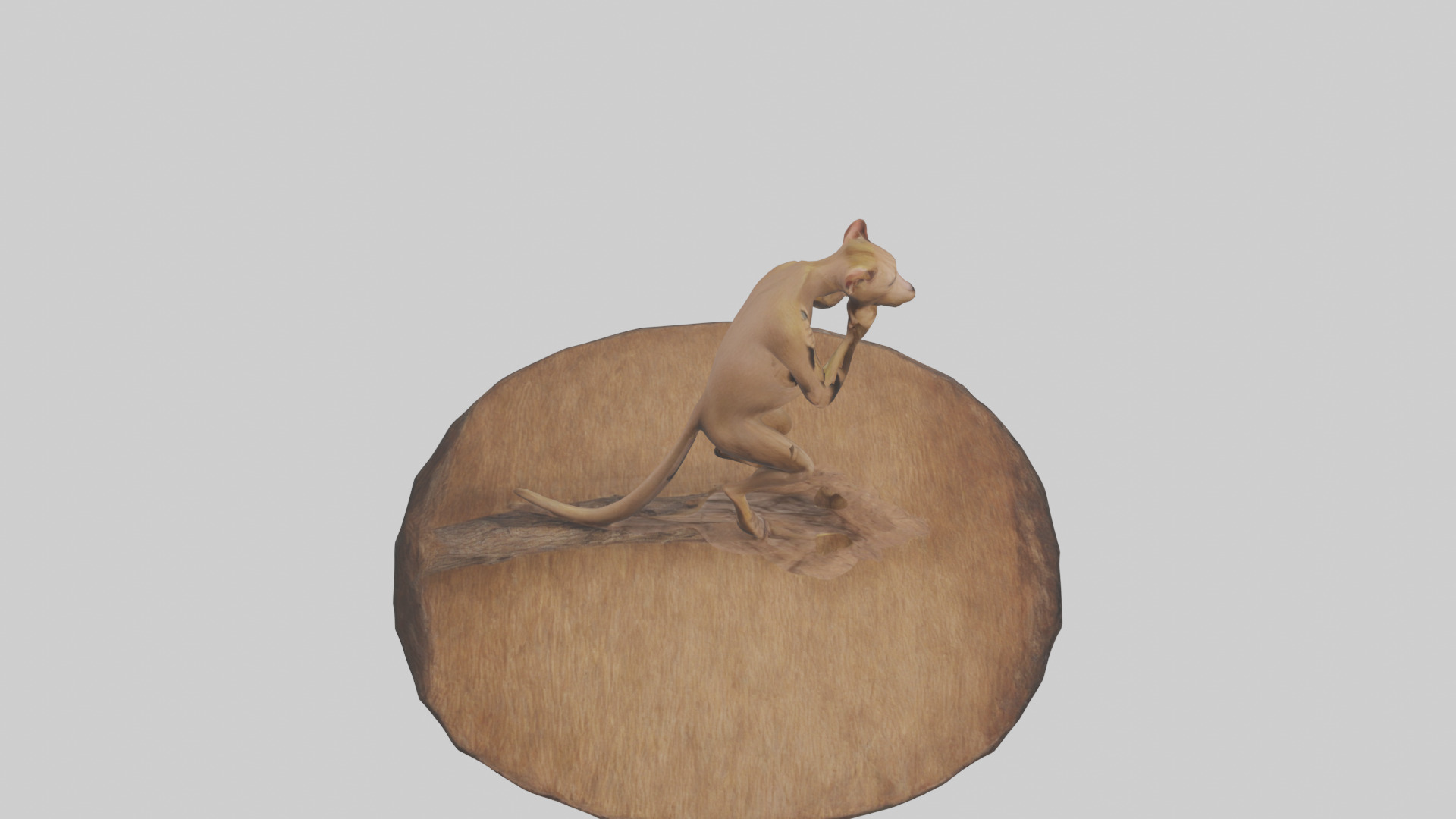 Fossa climbing tree model Low-poly 3D model_18