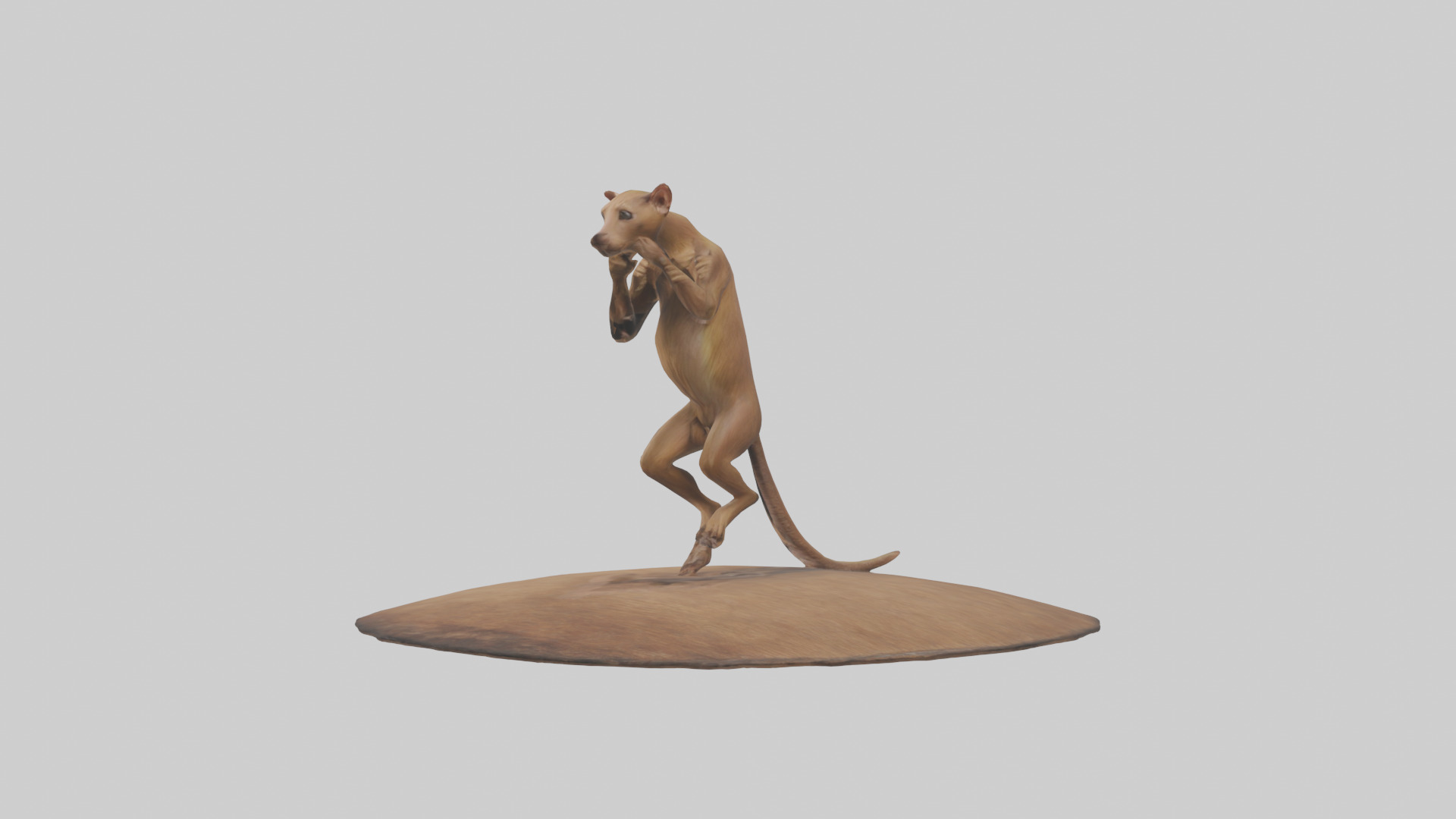 Fossa climbing tree model Low-poly 3D model_8