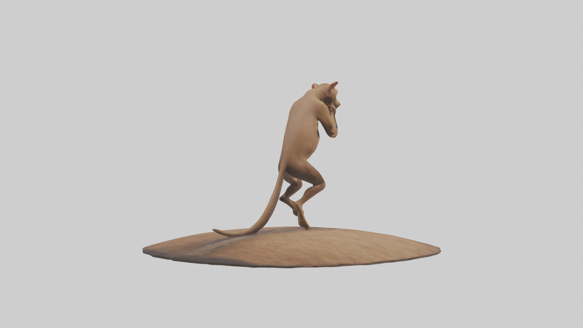 Fossa climbing tree model Low-poly 3D model_3