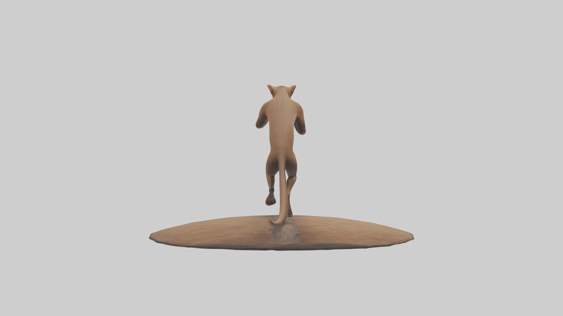 Fossa climbing tree model Low-poly 3D model_1