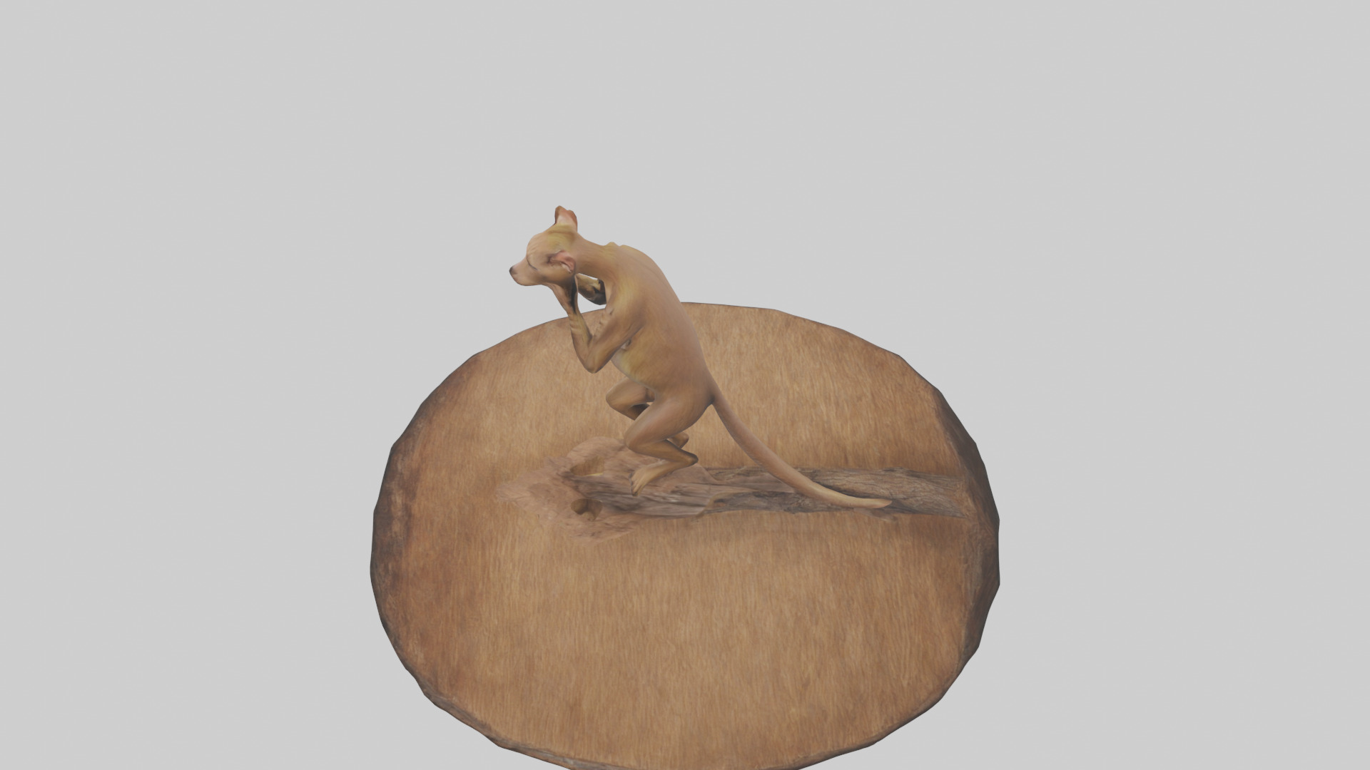 Fossa climbing tree model Low-poly 3D model_17