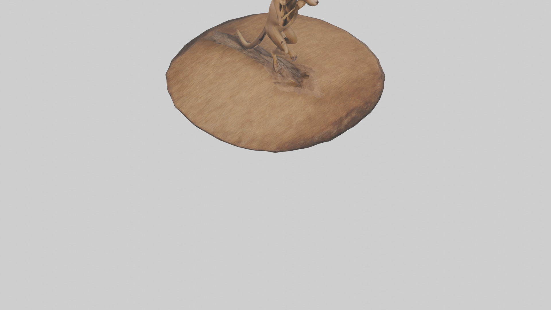 Fossa climbing tree model Low-poly 3D model_7