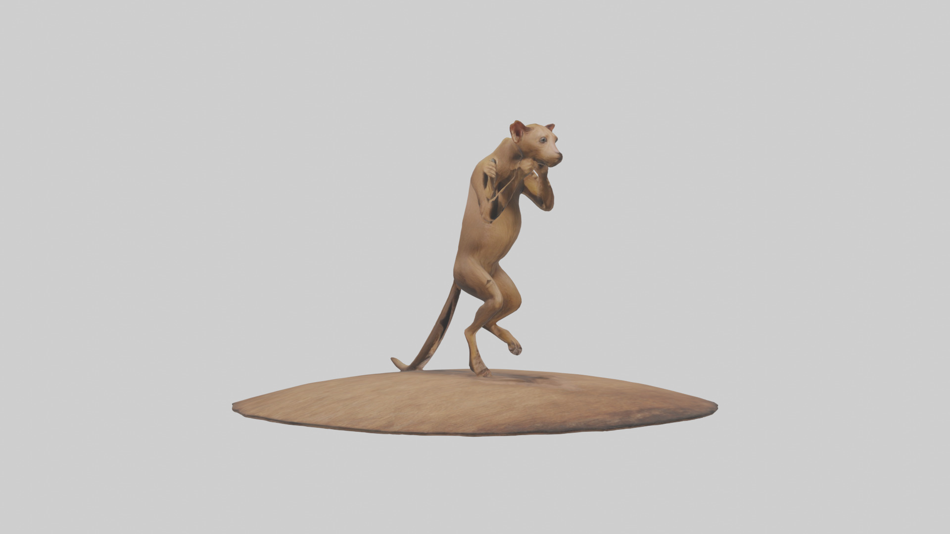 Fossa climbing tree model Low-poly 3D model_11