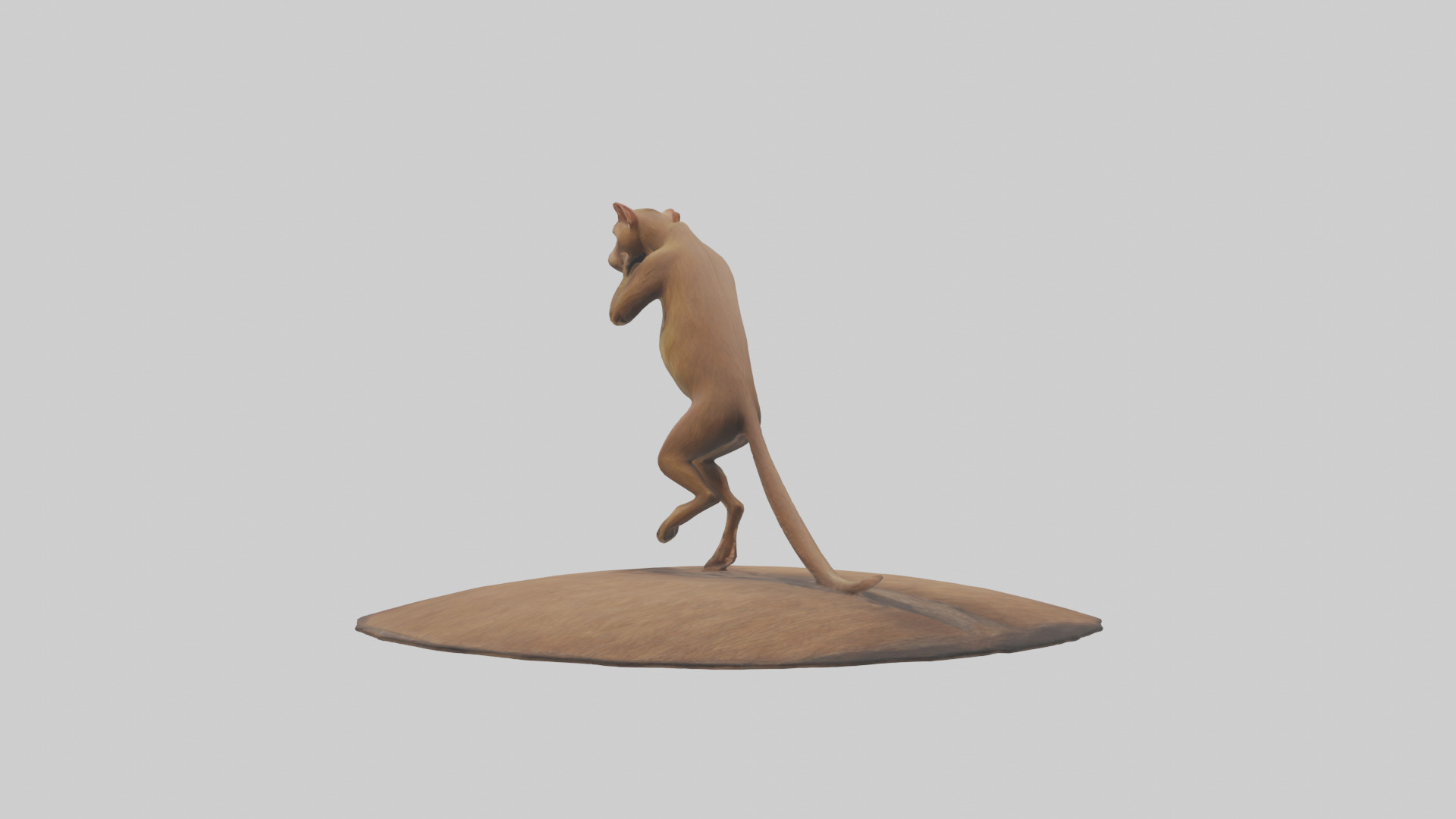 Fossa climbing tree model Low-poly 3D model_2