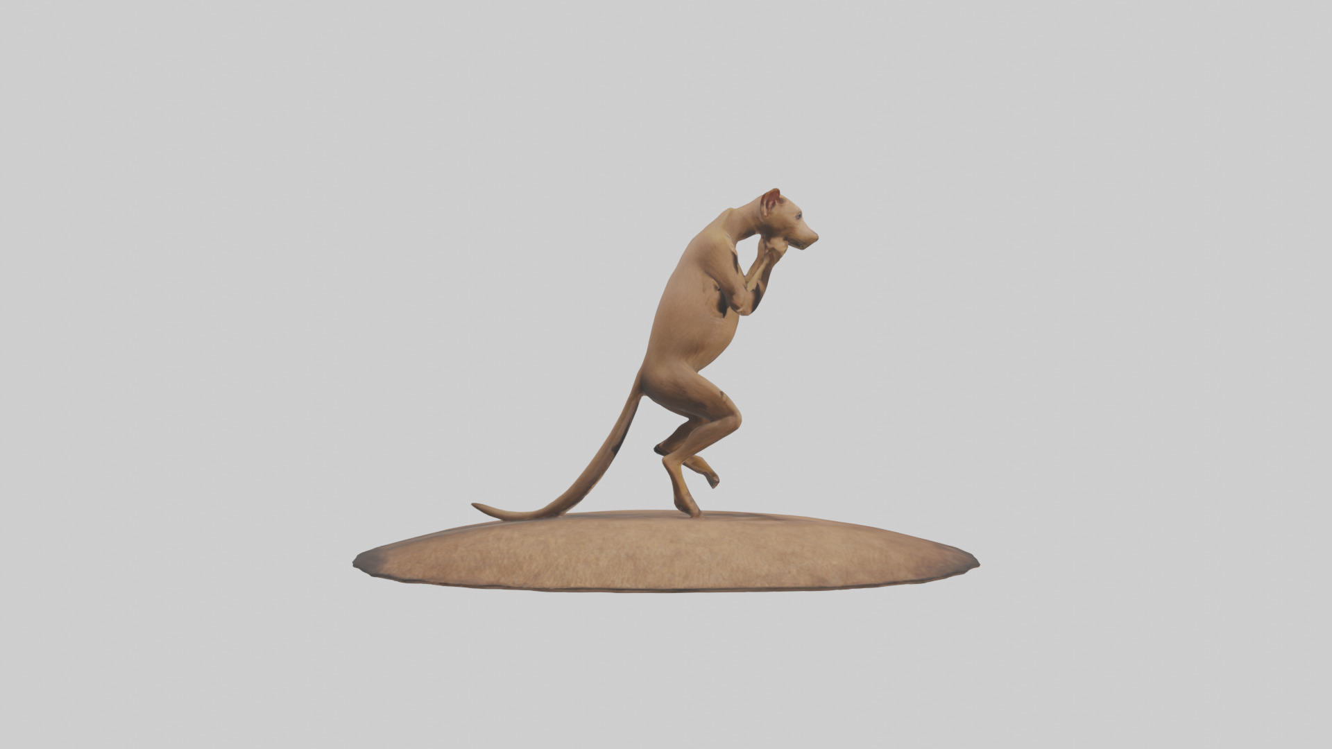 Fossa climbing tree model Low-poly 3D model_13