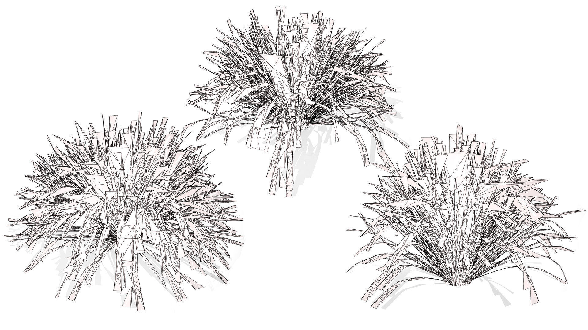 Australian Lomandra longifolia Pack Low-poly 3D model_11