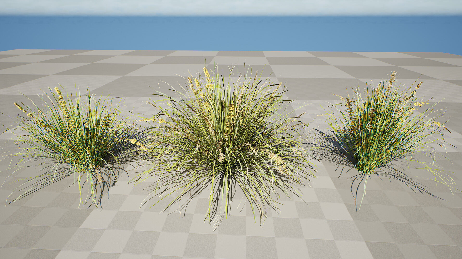 Australian Lomandra longifolia Pack Low-poly 3D model_8