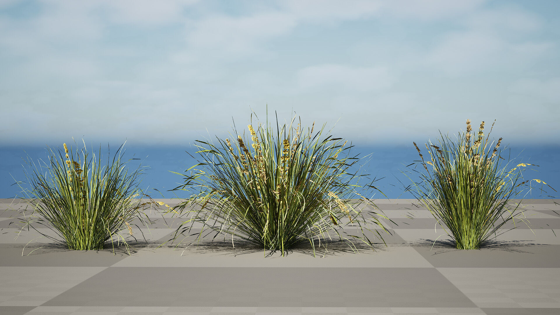 Australian Lomandra longifolia Pack Low-poly 3D model_9