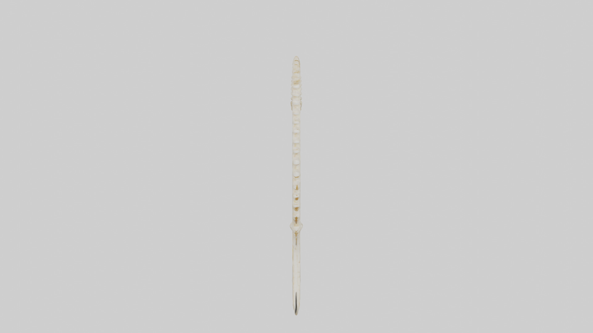 Fox Tail Skeleton model 3D model_16