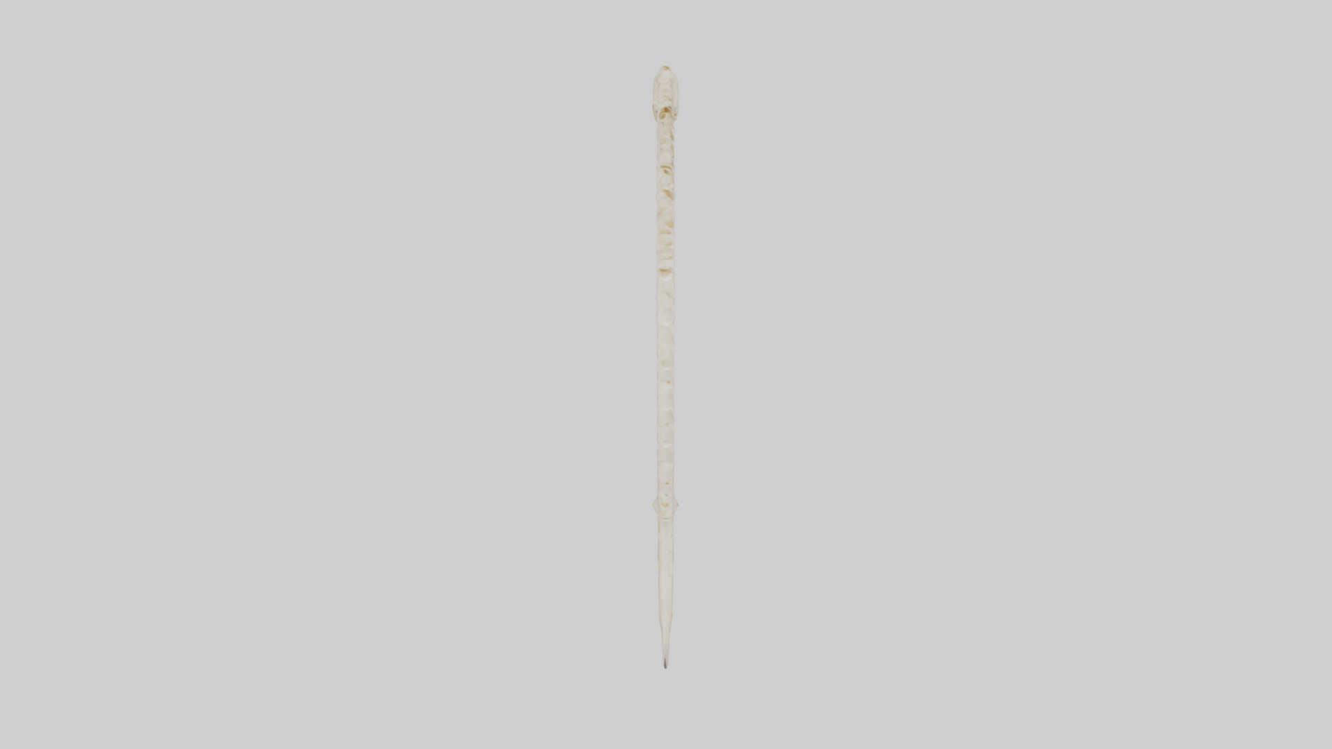 Fox Tail Skeleton model 3D model_14