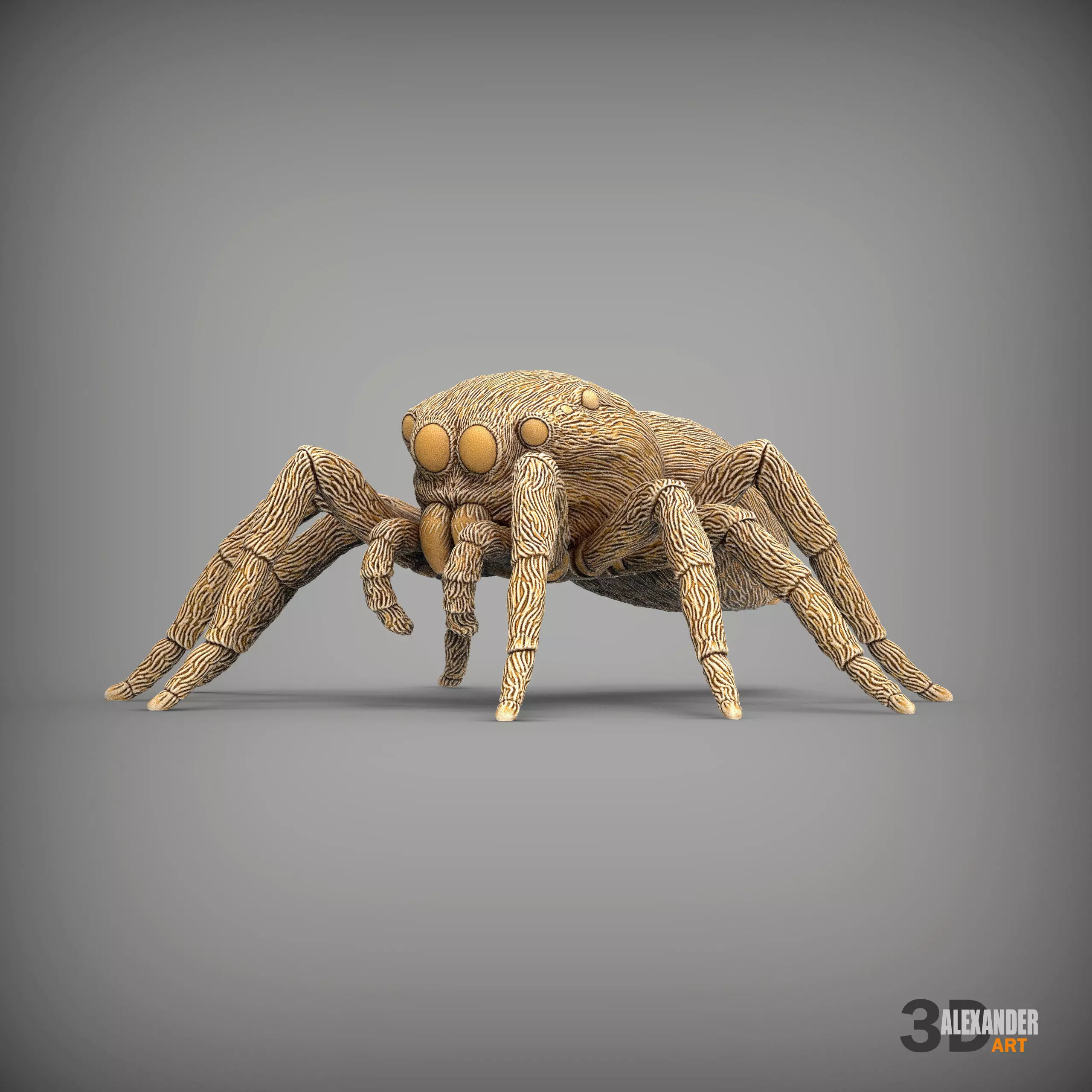 Jumping spider 3D print model