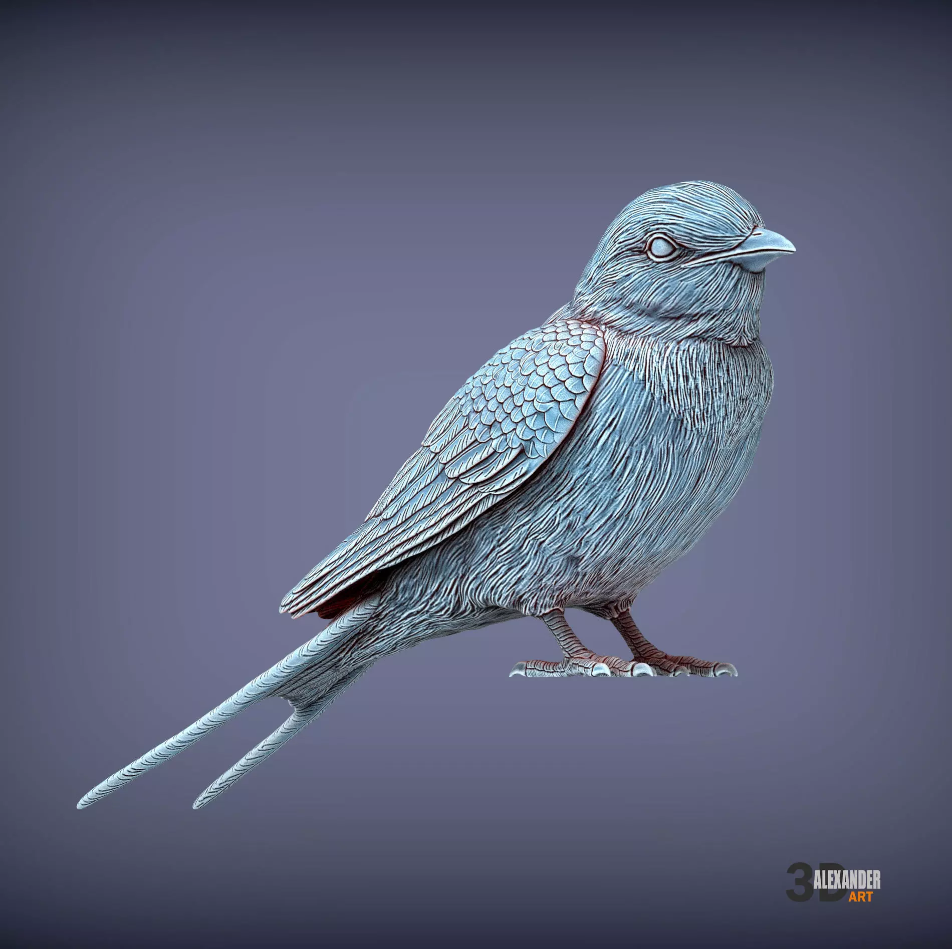 swallow bird 3D print model