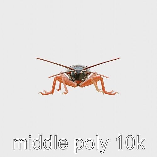 Red Nocturnal Cockroach Model with Detailed Textures Low-poly 3D model