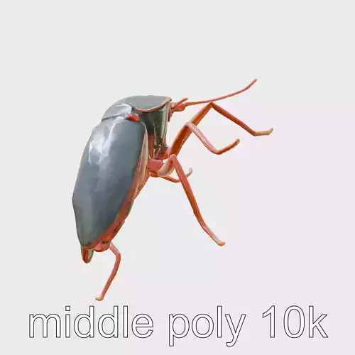 American Cockroach Model with Detailed Segmentation Low-poly 3D model