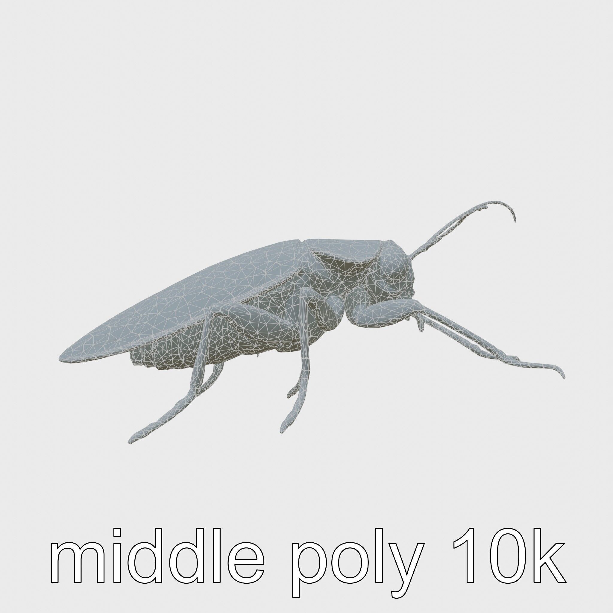 Urban Cockroach Realistic 3D Model with Detailed Textures Low-poly 3D model_28