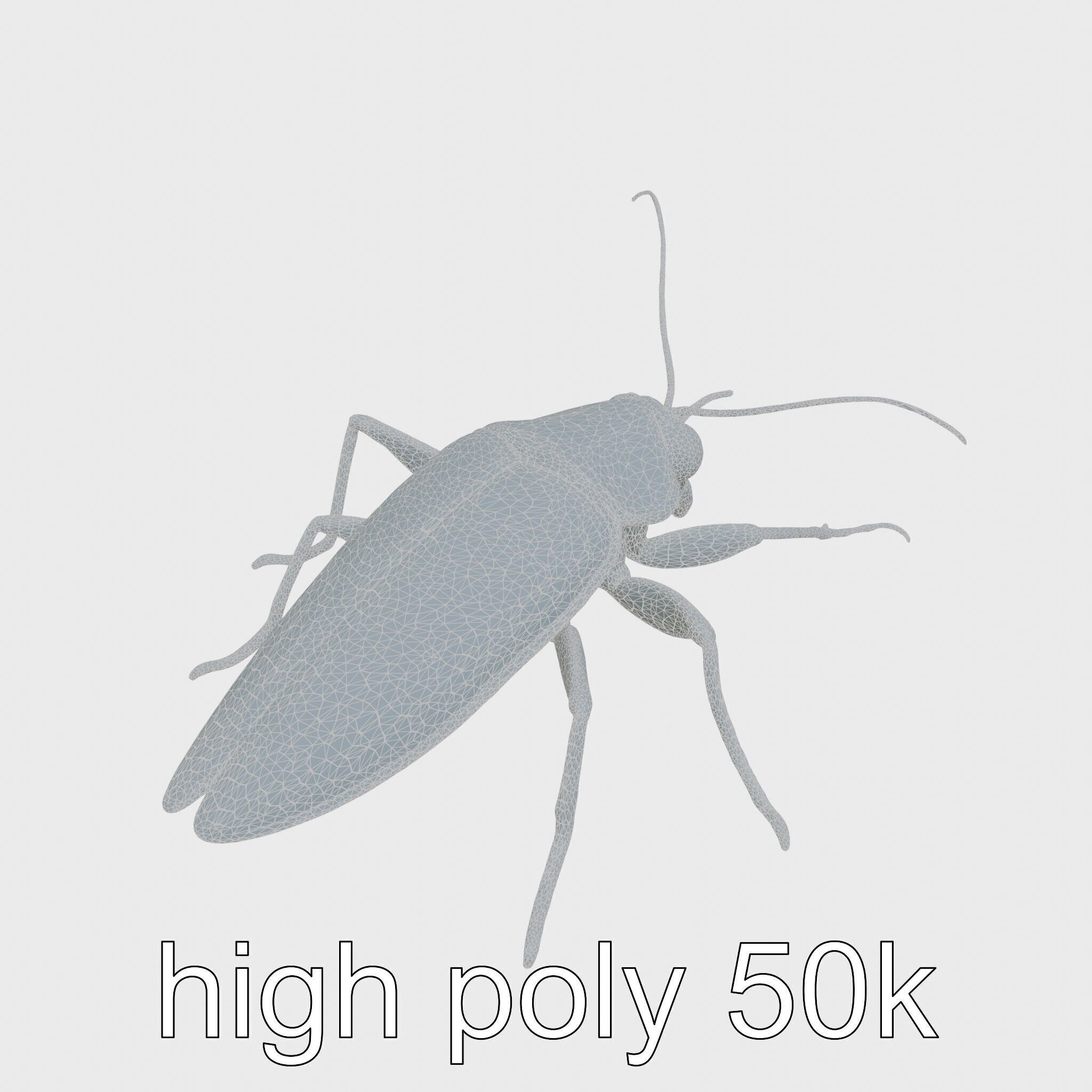 Urban Cockroach Realistic 3D Model with Detailed Textures Low-poly 3D model_13