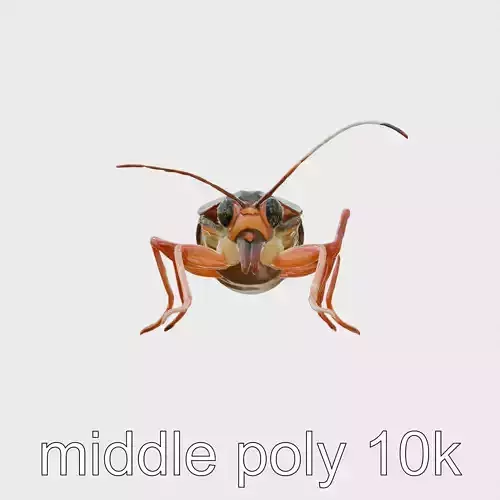 Urban Cockroach Realistic 3D Model with Detailed Textures Low-poly 3D model