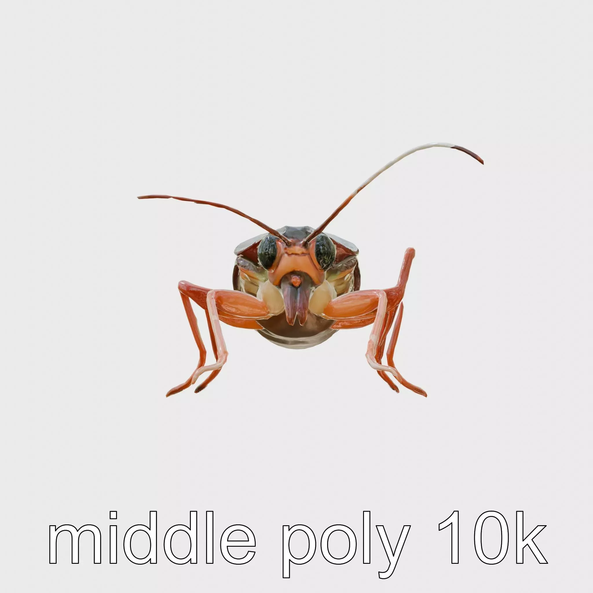 Urban Cockroach Realistic 3D Model with Detailed Textures Low-poly 3D model_0