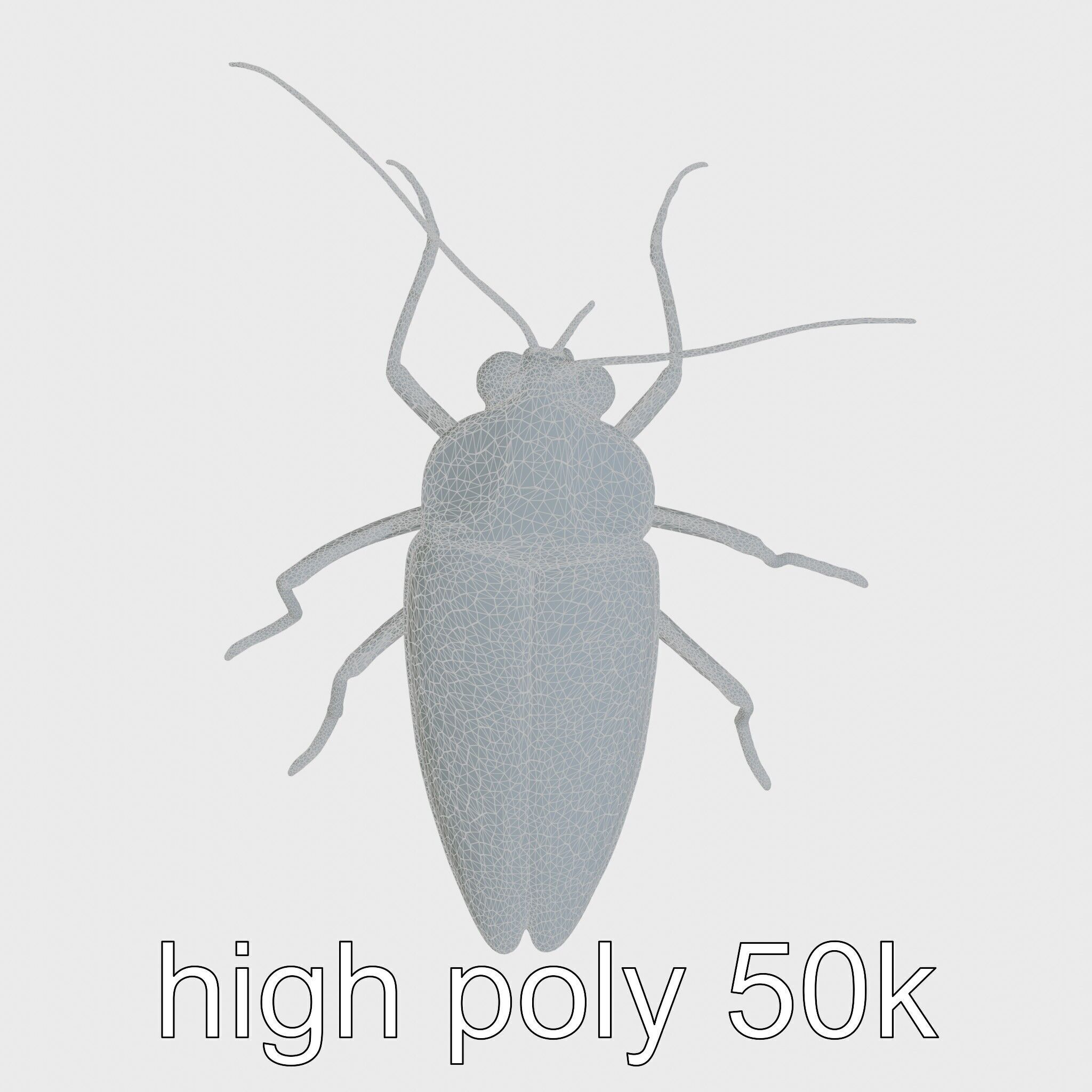 Urban Cockroach Realistic 3D Model with Detailed Textures Low-poly 3D model_24