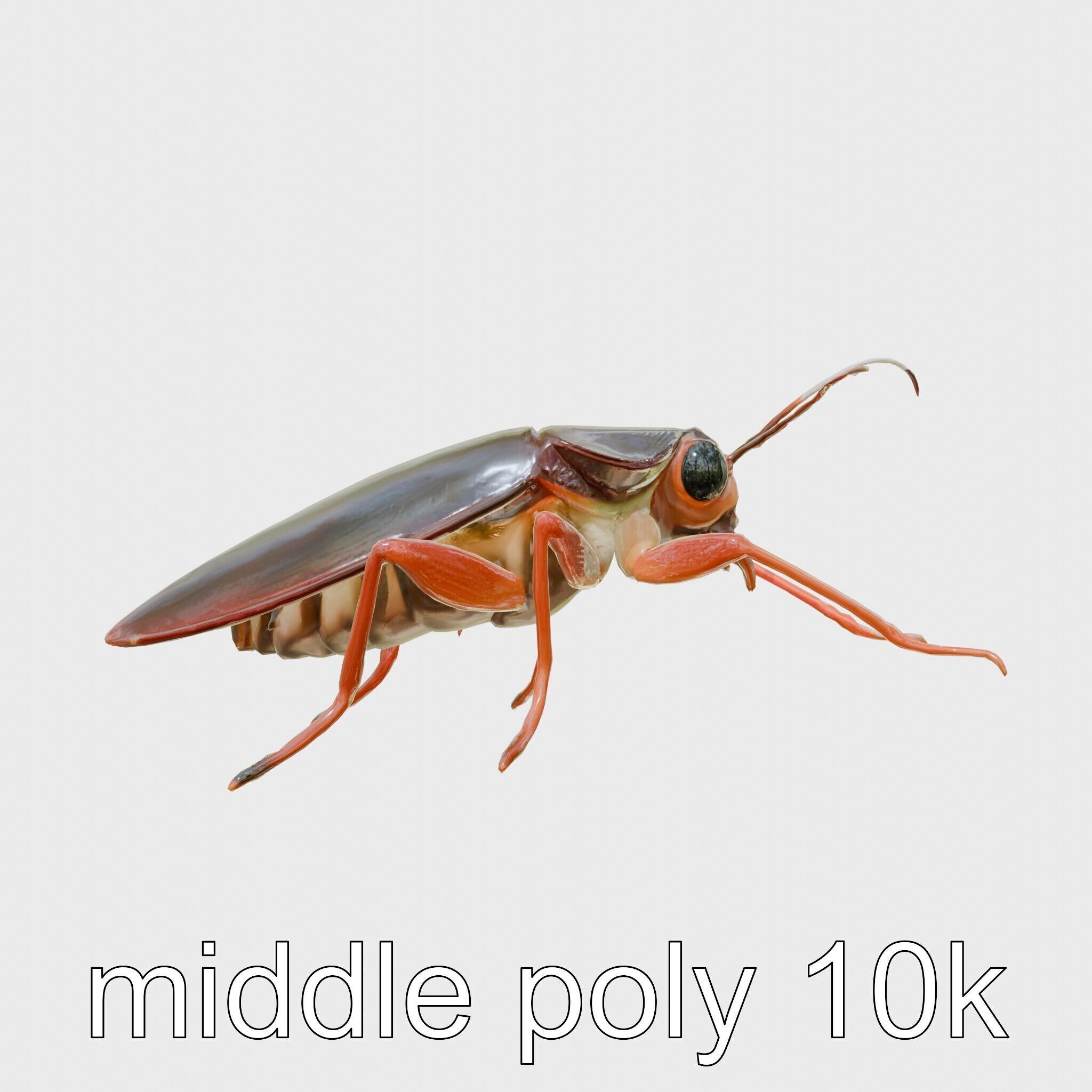 Urban Cockroach Realistic 3D Model with Detailed Textures Low-poly 3D model_30