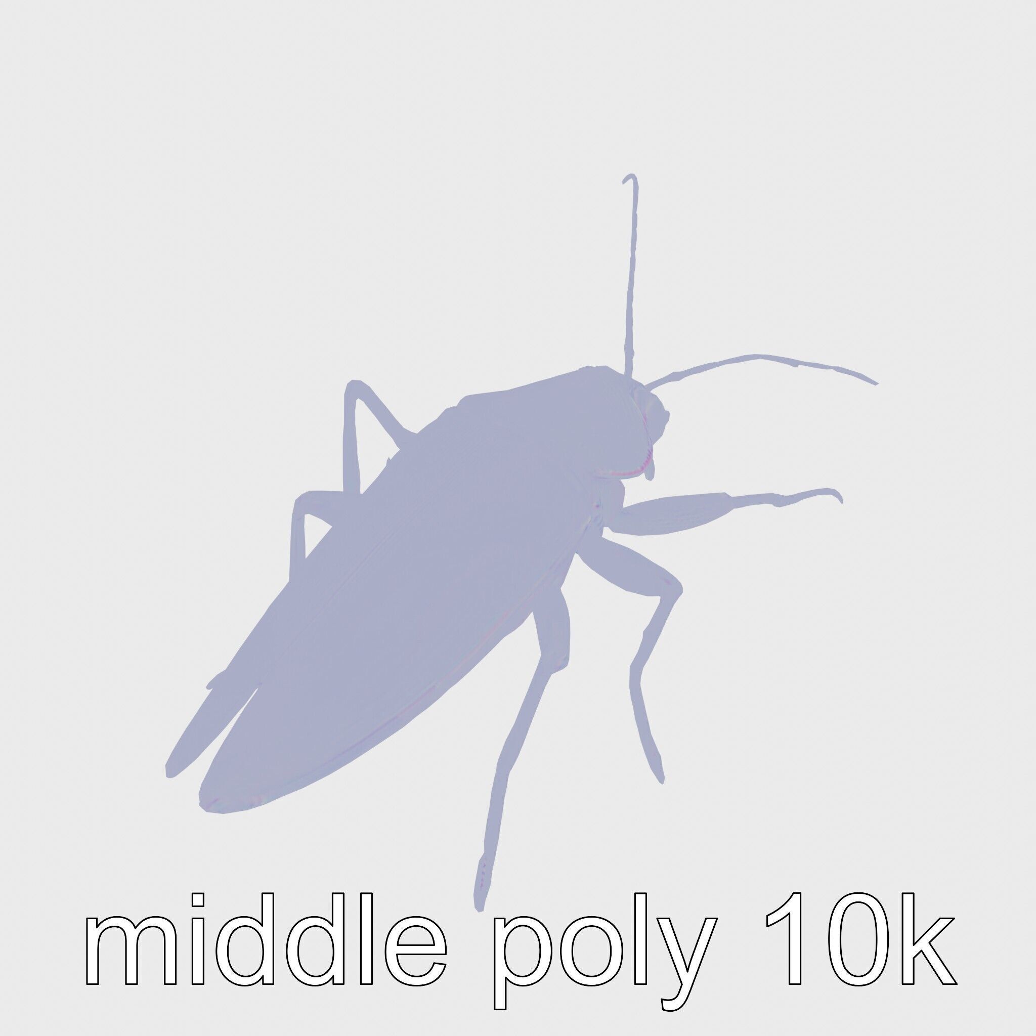 Urban Cockroach Realistic 3D Model with Detailed Textures Low-poly 3D model_18