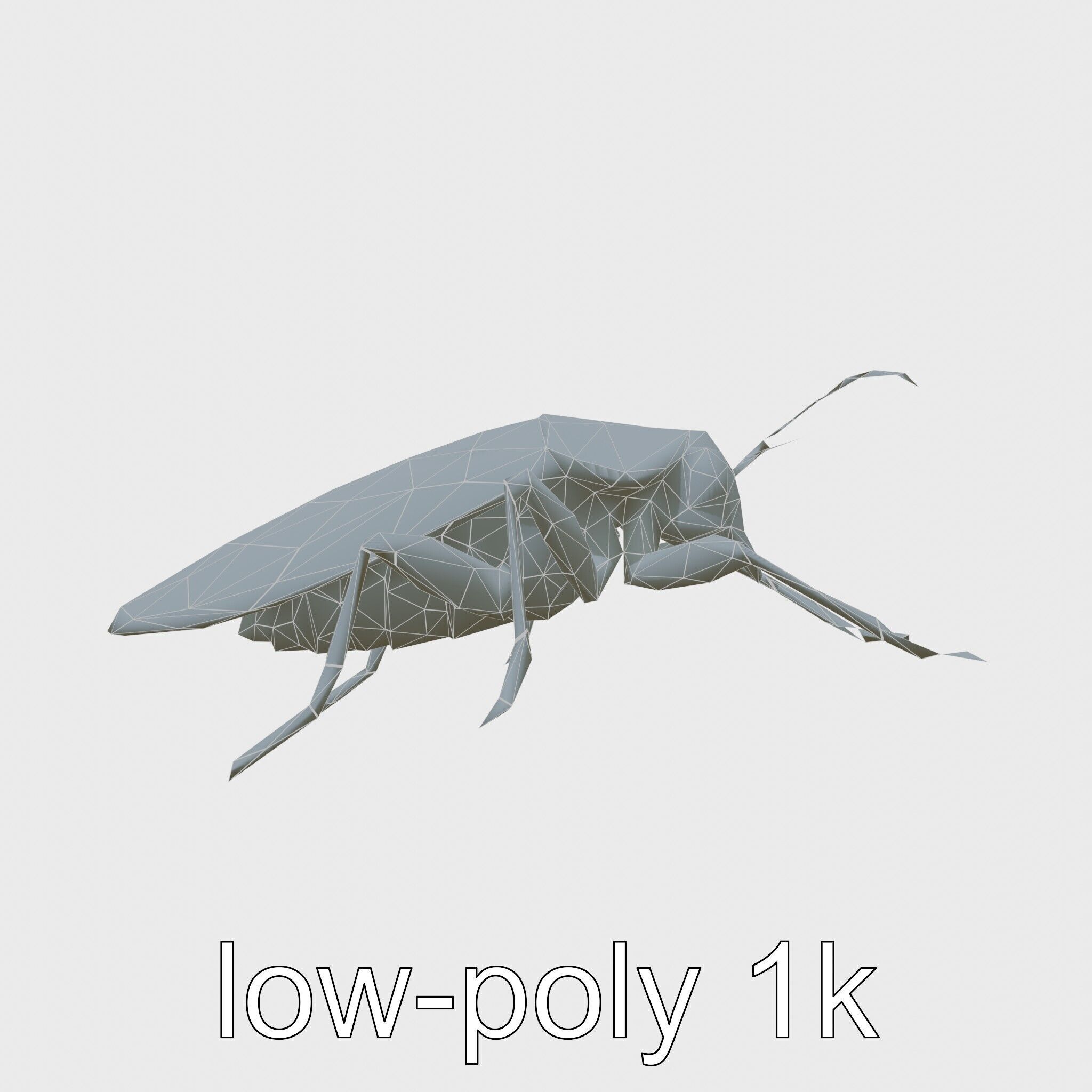 Urban Cockroach Realistic 3D Model with Detailed Textures Low-poly 3D model_21