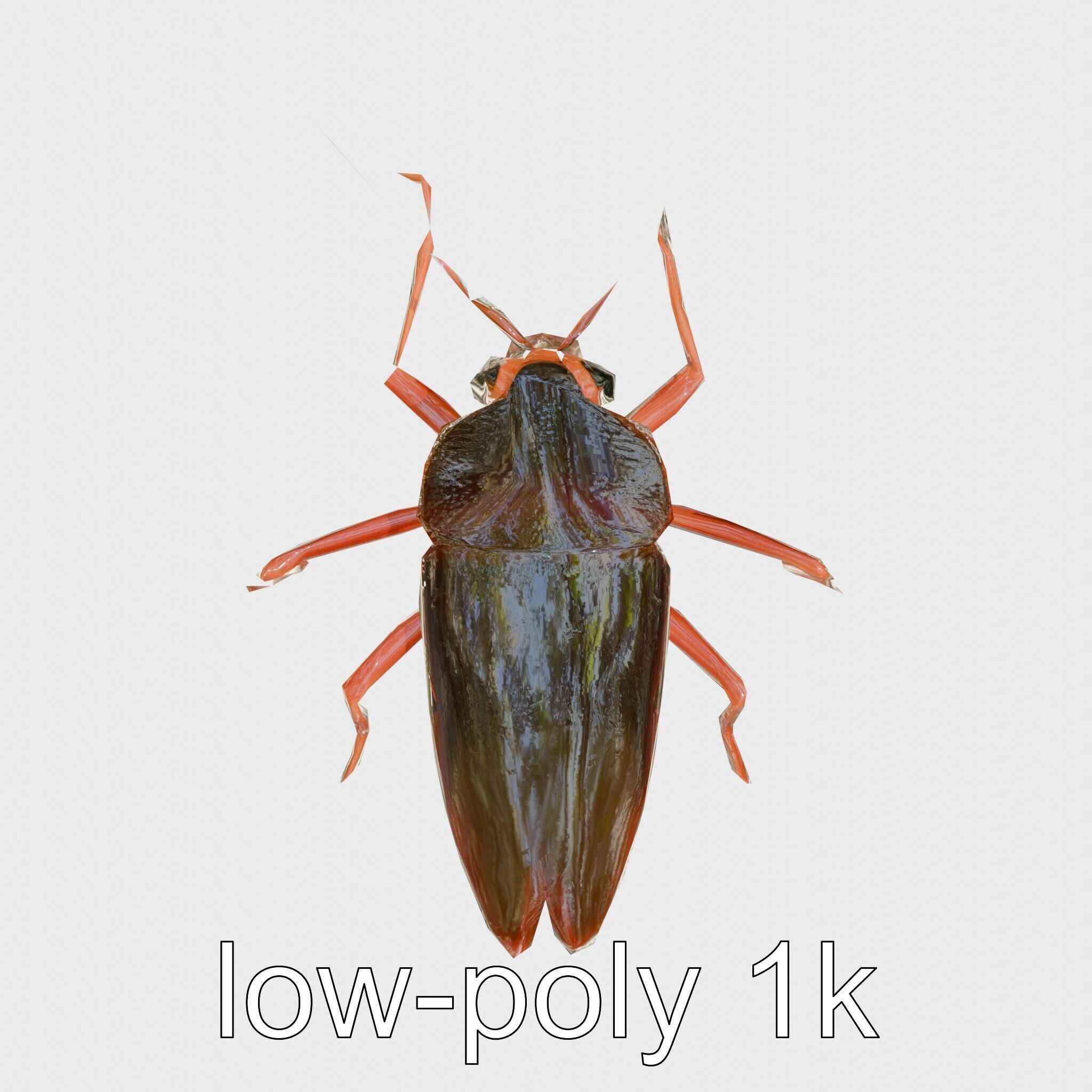 Urban Cockroach Realistic 3D Model with Detailed Textures Low-poly 3D model_25
