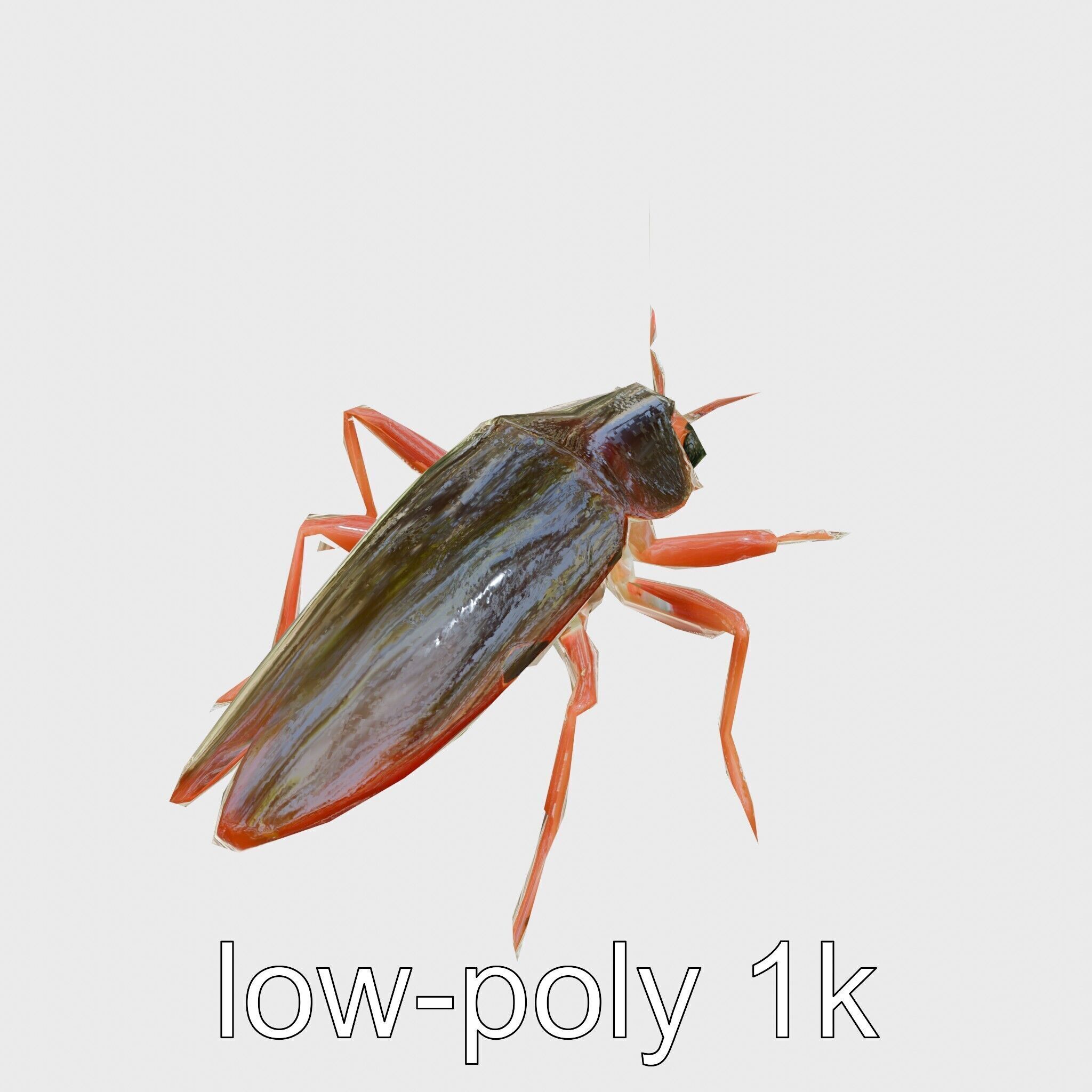 Urban Cockroach Realistic 3D Model with Detailed Textures Low-poly 3D model_22