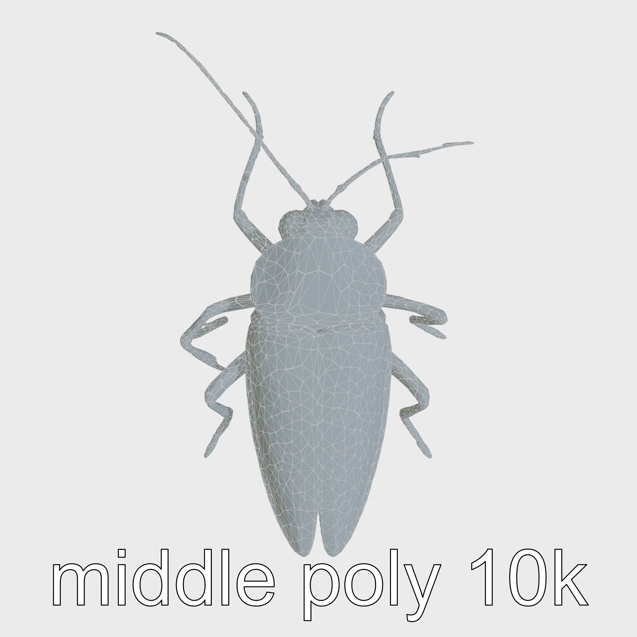 Urban Cockroach Realistic 3D Model with Detailed Textures Low-poly 3D model_23