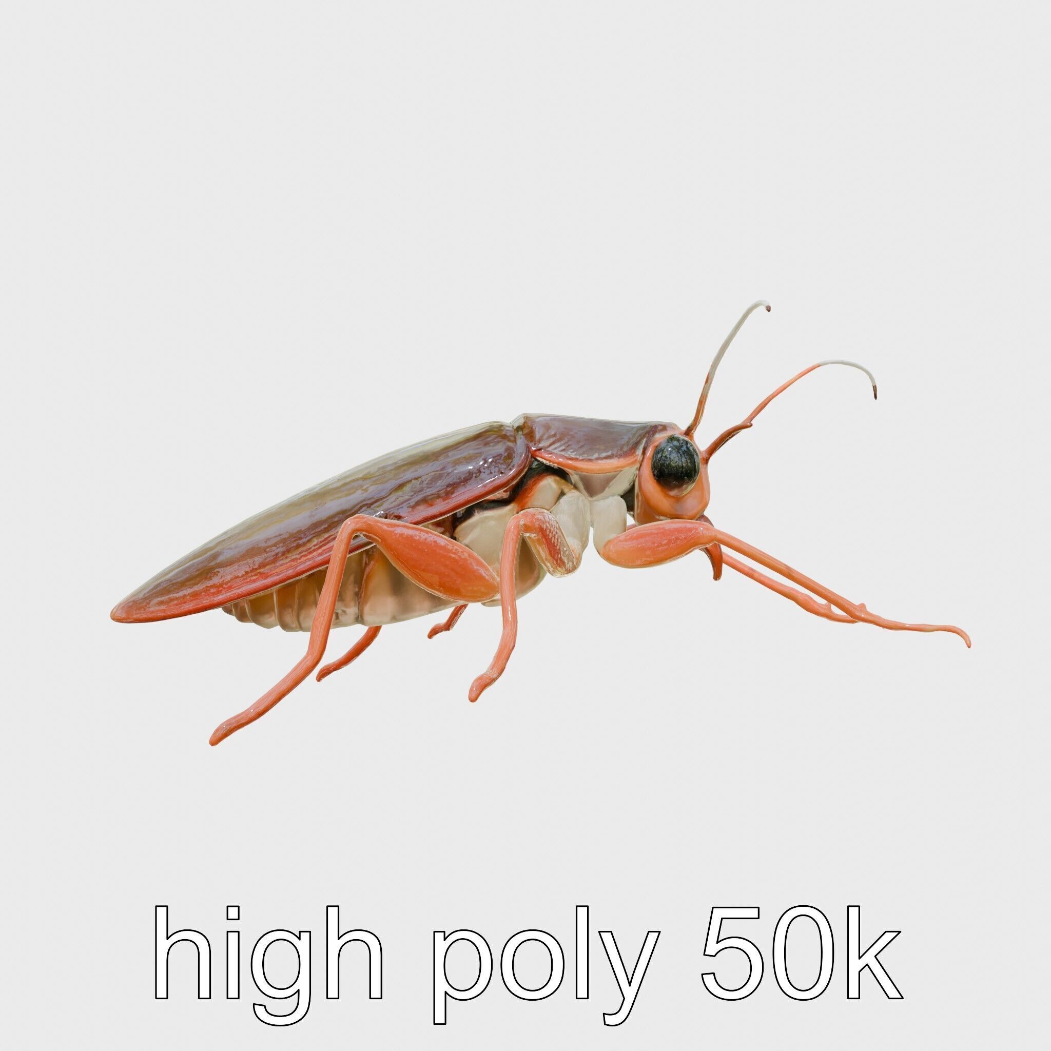 Urban Cockroach Realistic 3D Model with Detailed Textures Low-poly 3D model_32
