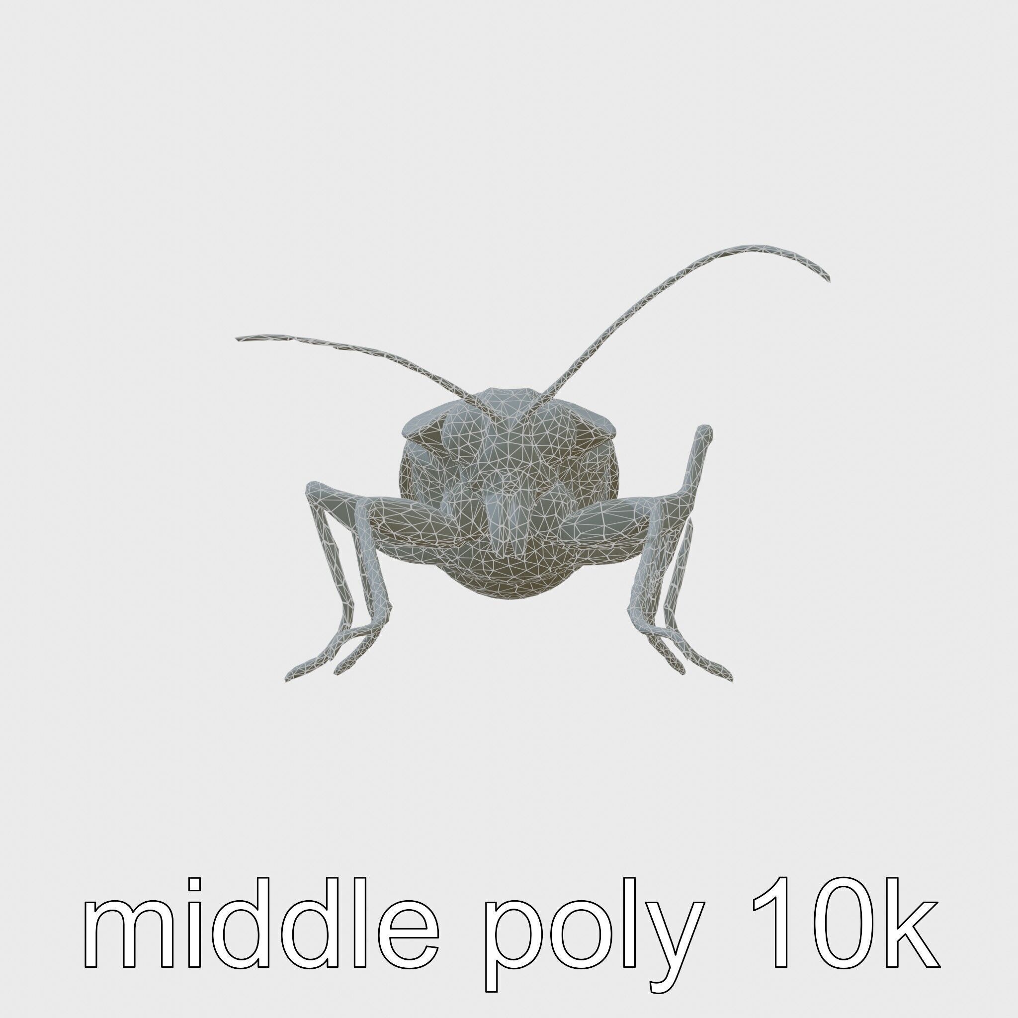 Urban Cockroach Realistic 3D Model with Detailed Textures Low-poly 3D model_9