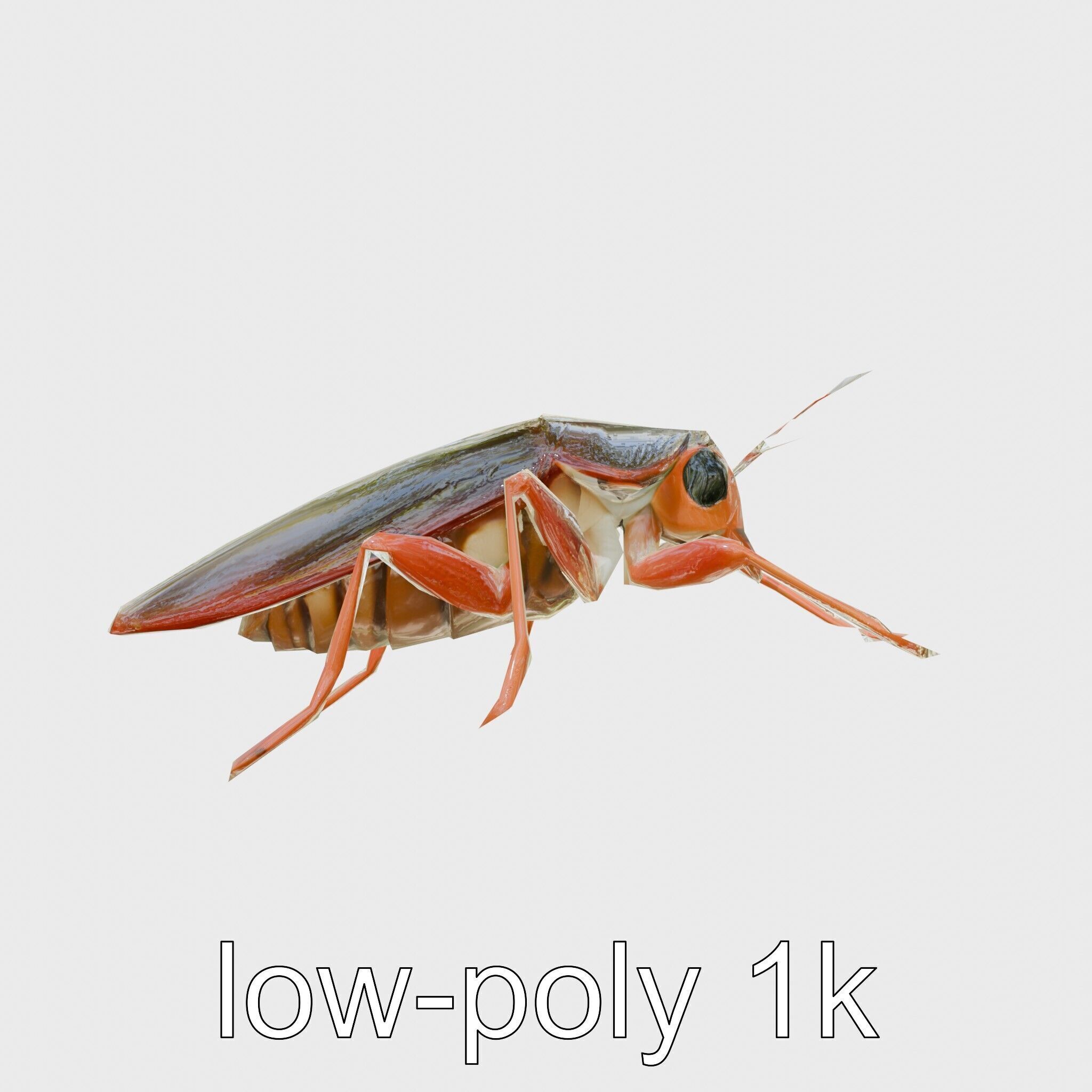 Urban Cockroach Realistic 3D Model with Detailed Textures Low-poly 3D model_14