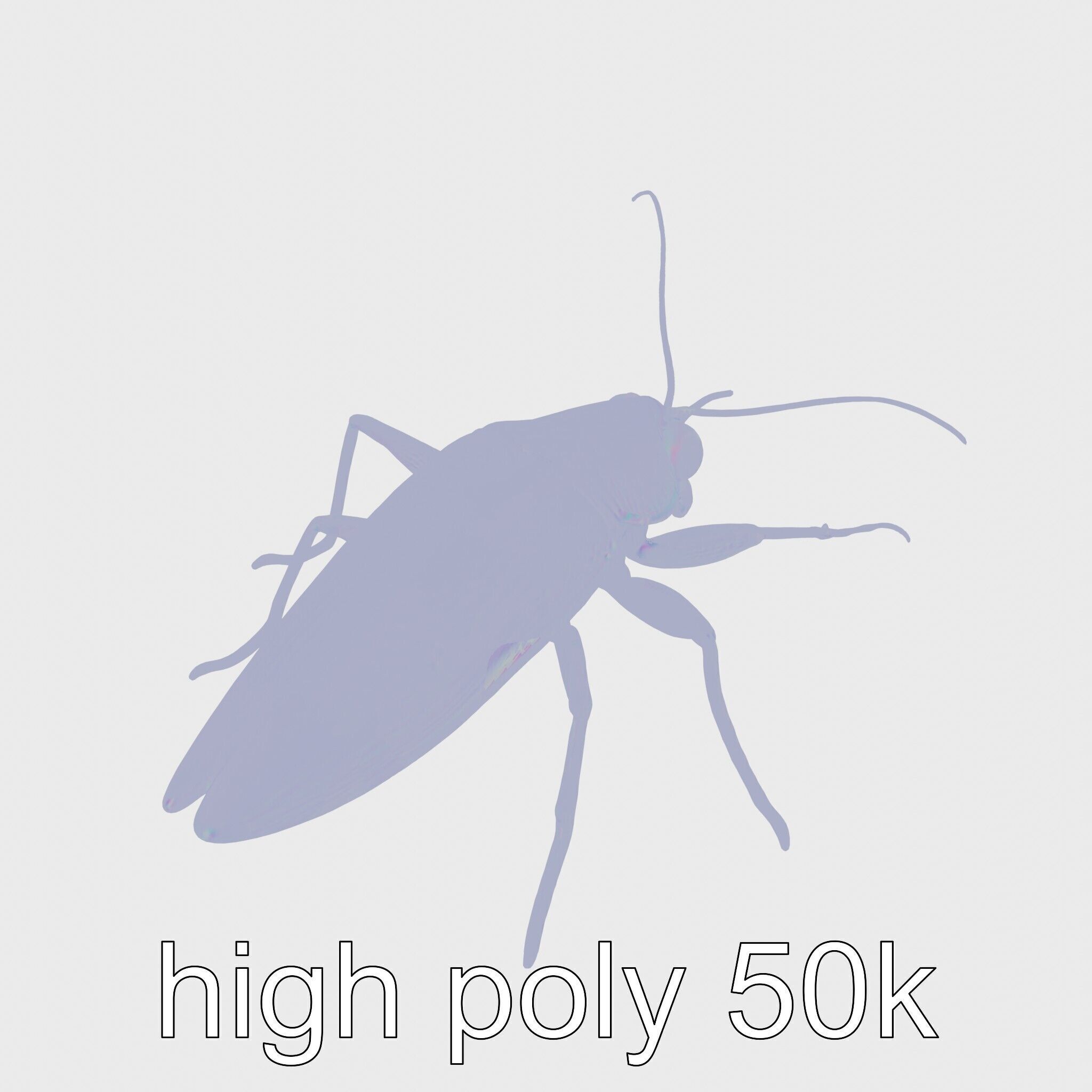 Urban Cockroach Realistic 3D Model with Detailed Textures Low-poly 3D model_26