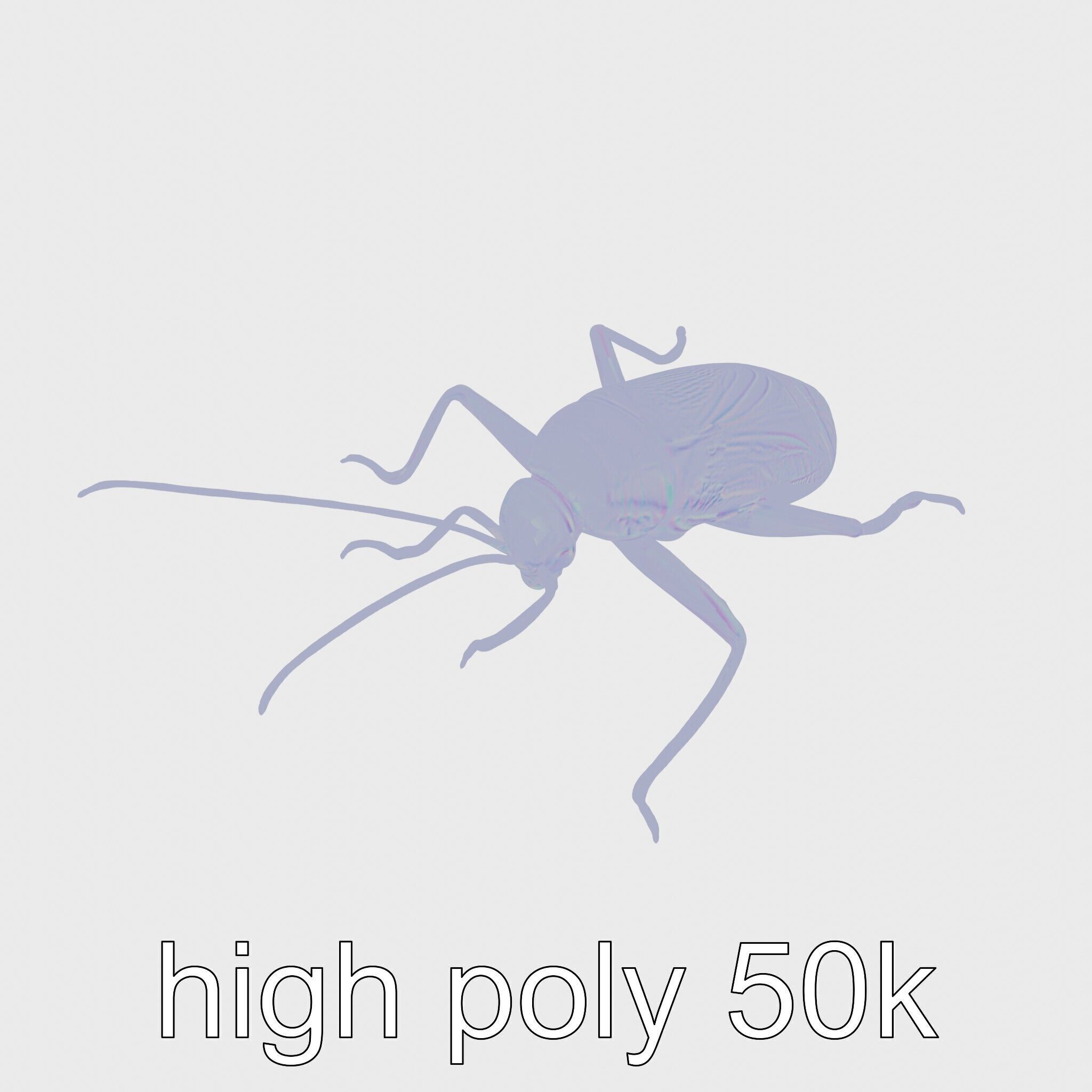 Jungle Cockroach Detailed 3D Model Low-poly 3D model_25