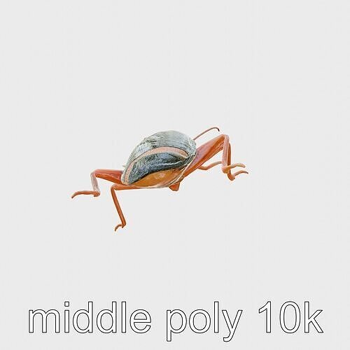 Jungle Cockroach Detailed 3D Model Low-poly 3D model