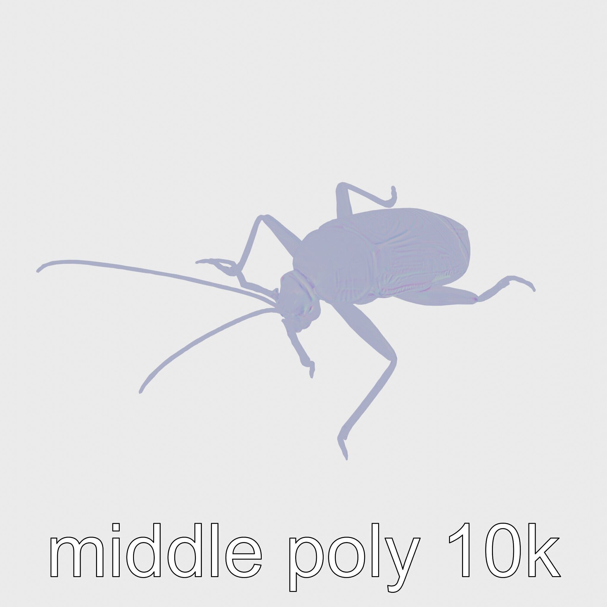 Jungle Cockroach Detailed 3D Model Low-poly 3D model_28