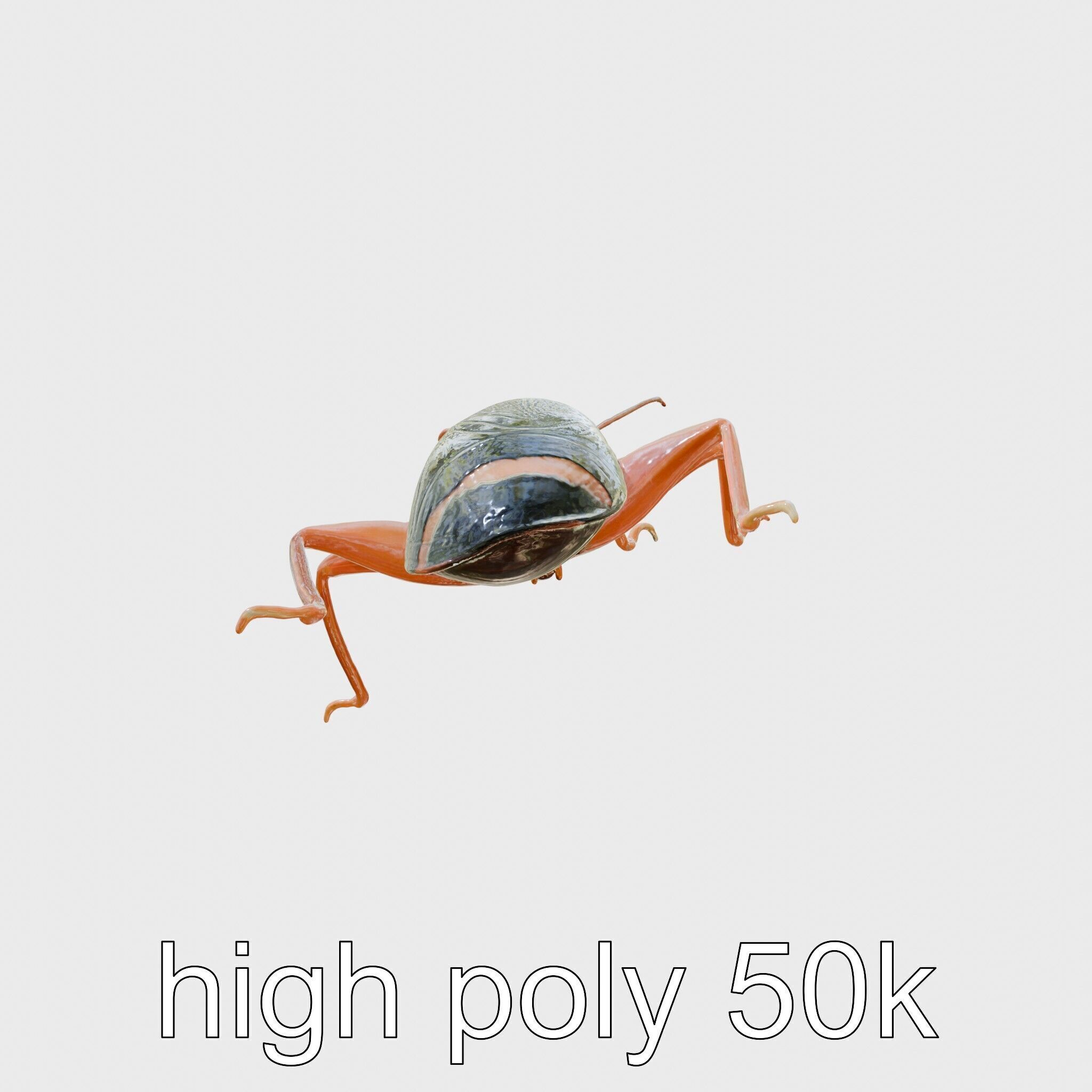 Jungle Cockroach Detailed 3D Model Low-poly 3D model_26