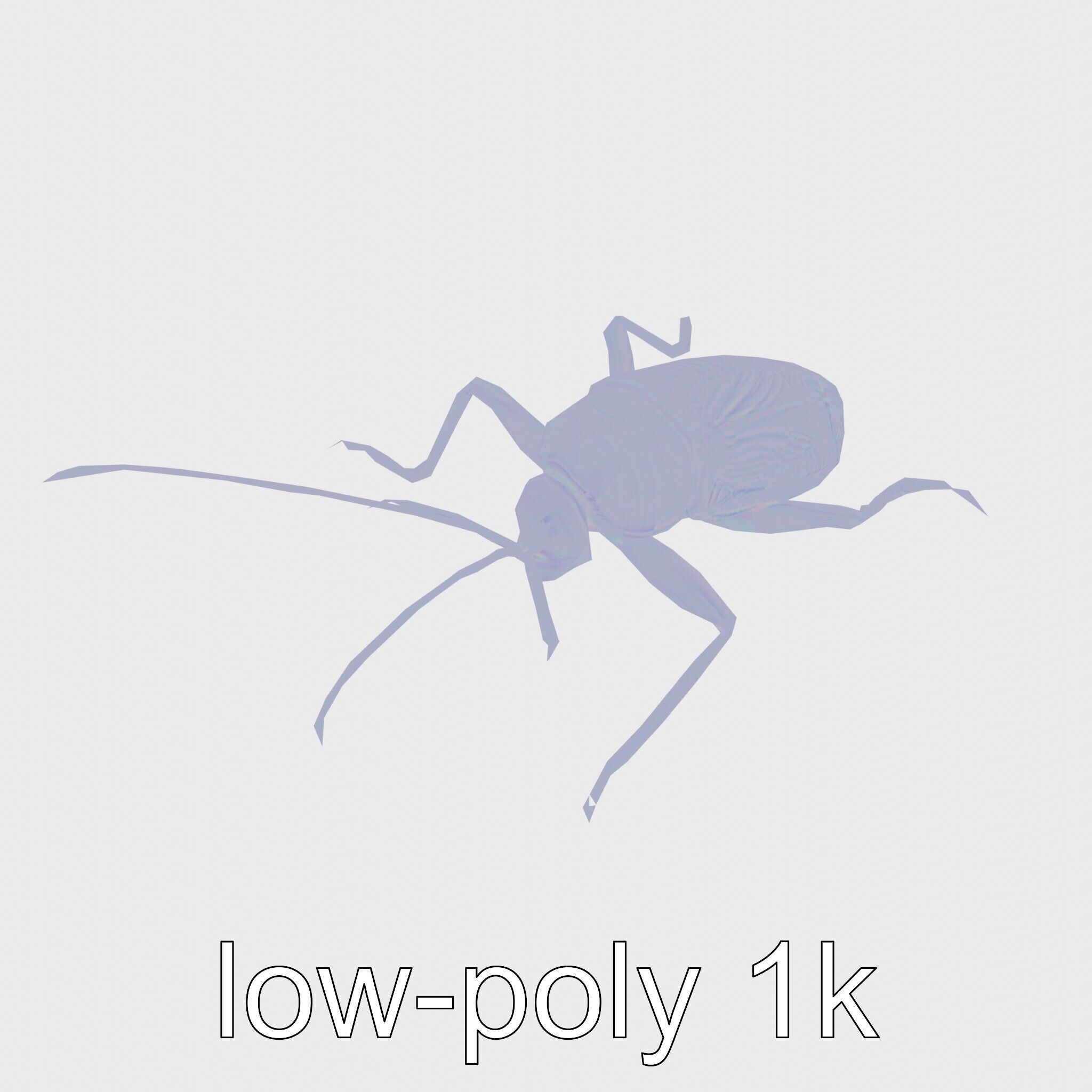Jungle Cockroach Detailed 3D Model Low-poly 3D model_21
