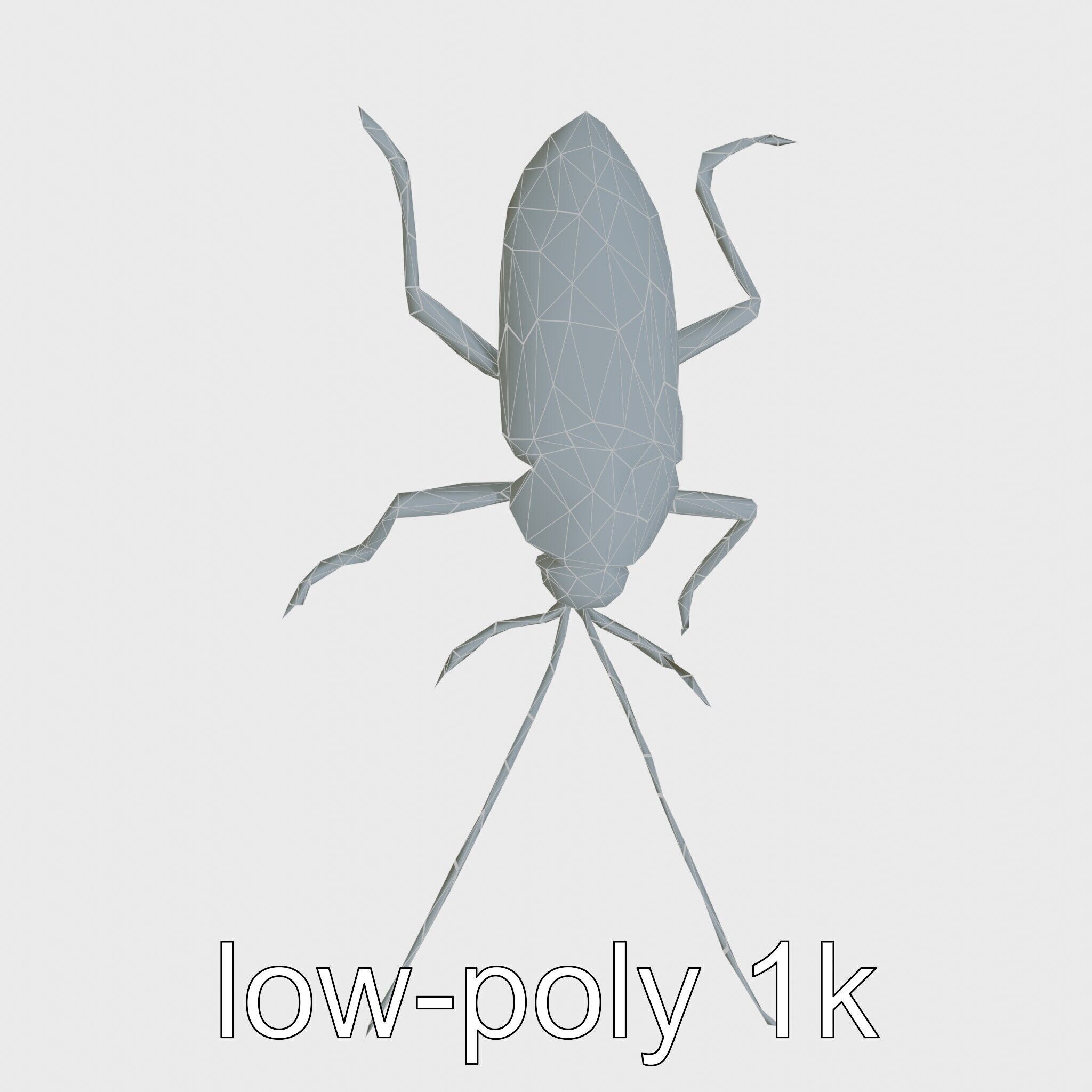 Jungle Cockroach Detailed 3D Model Low-poly 3D model_19