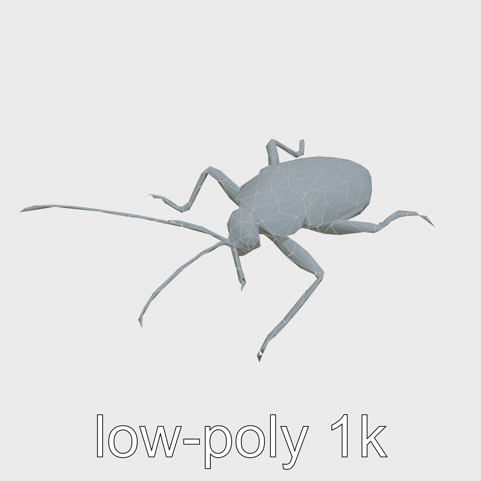 Jungle Cockroach Detailed 3D Model Low-poly 3D model_16