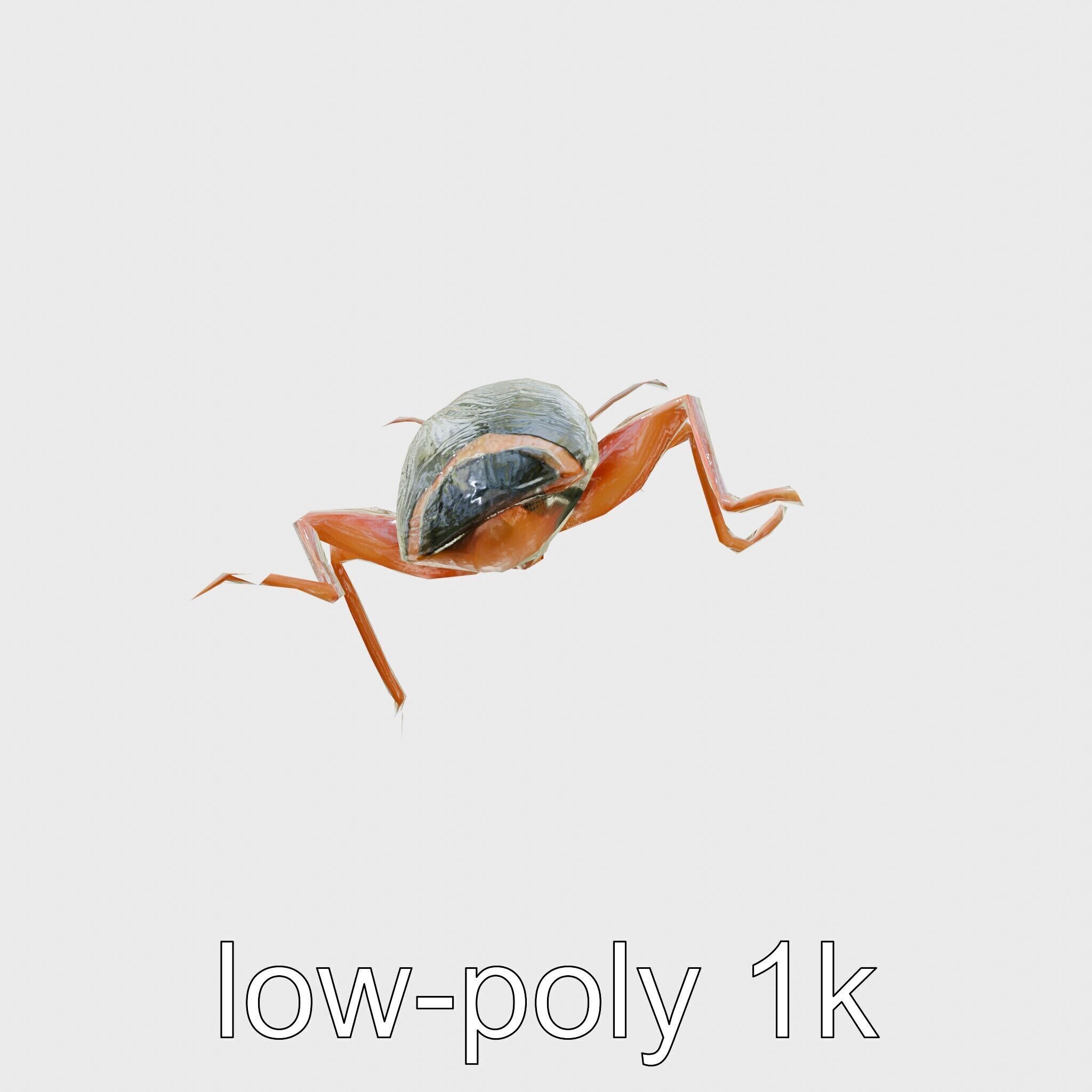 Jungle Cockroach Detailed 3D Model Low-poly 3D model_7