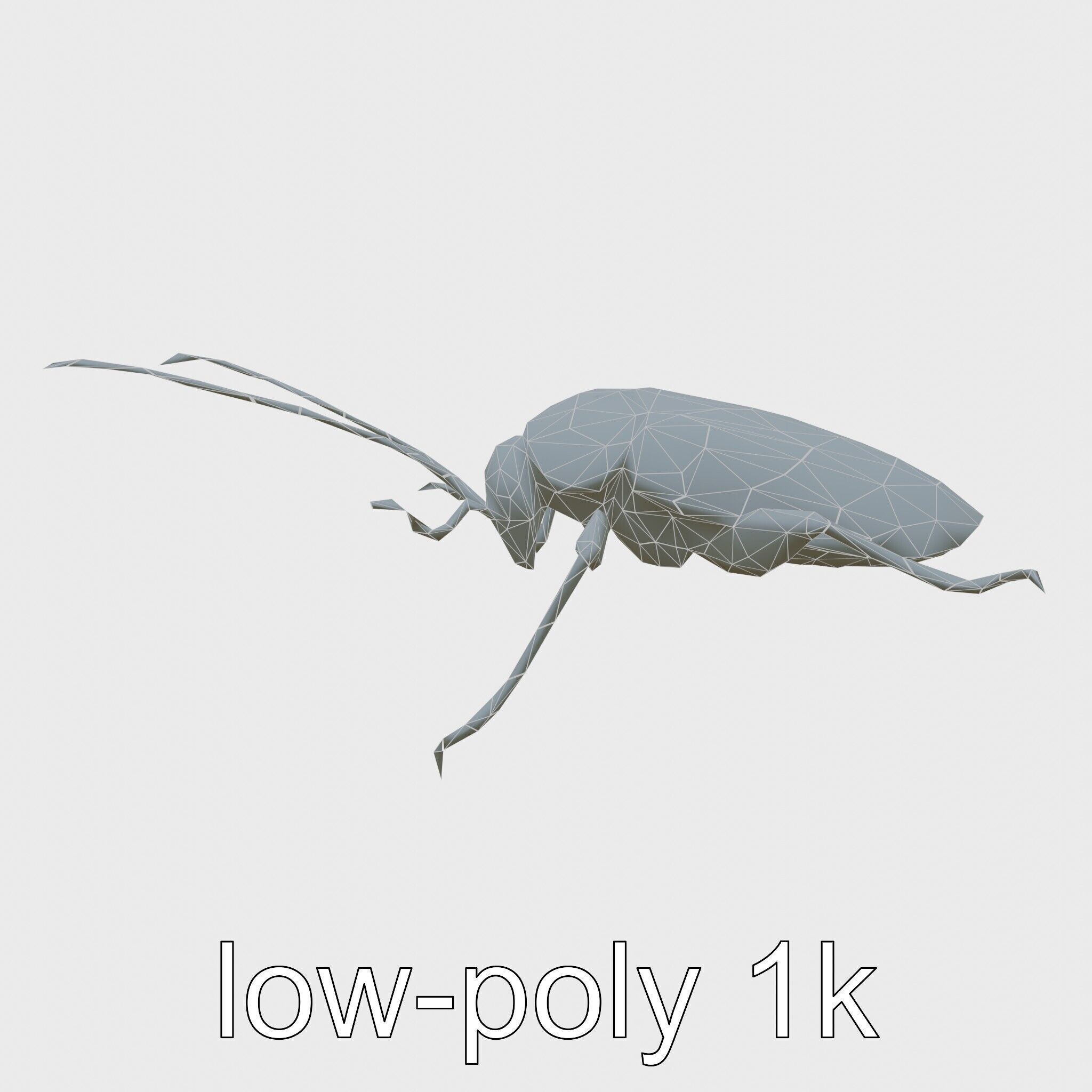 Jungle Cockroach Detailed 3D Model Low-poly 3D model_13