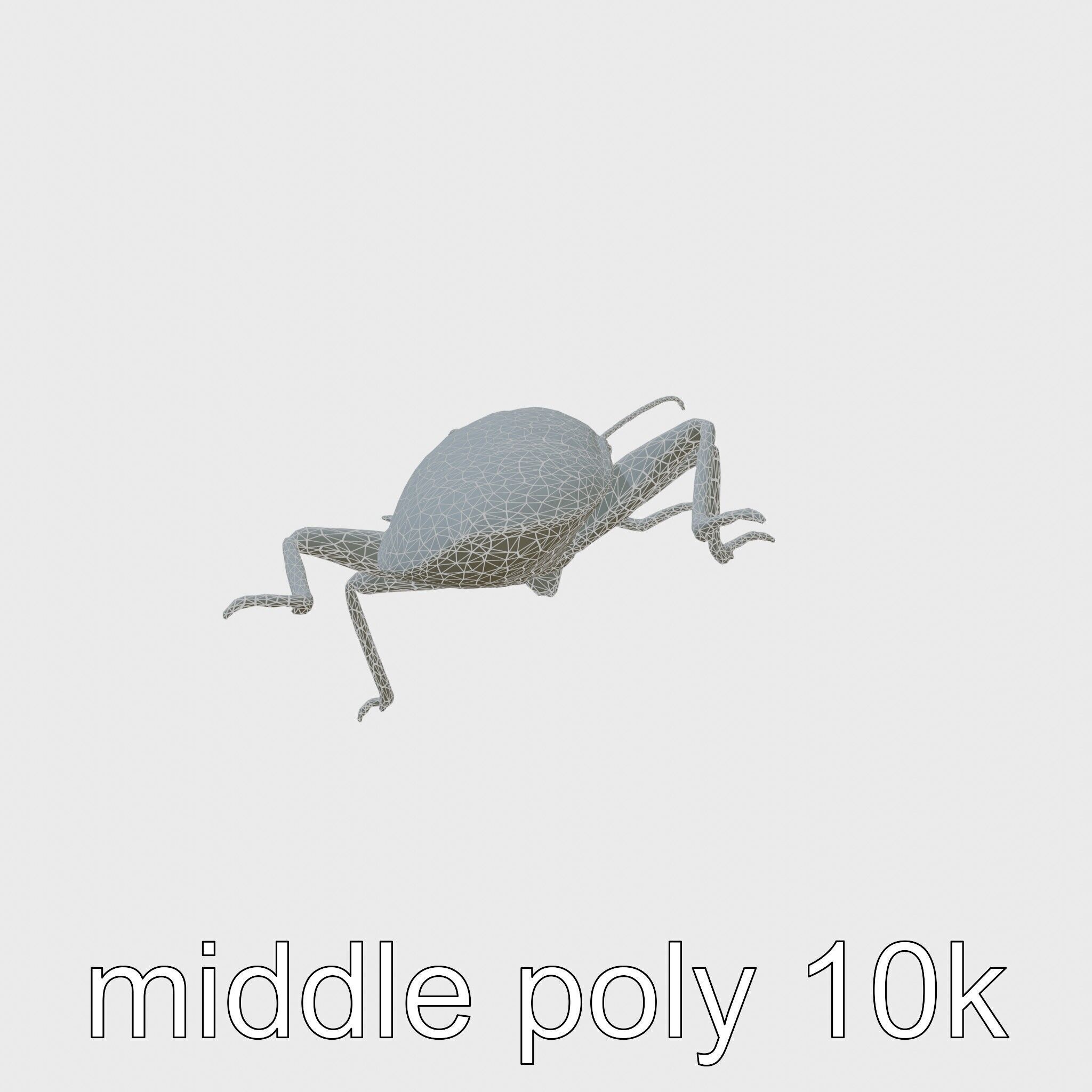Jungle Cockroach Detailed 3D Model Low-poly 3D model_9